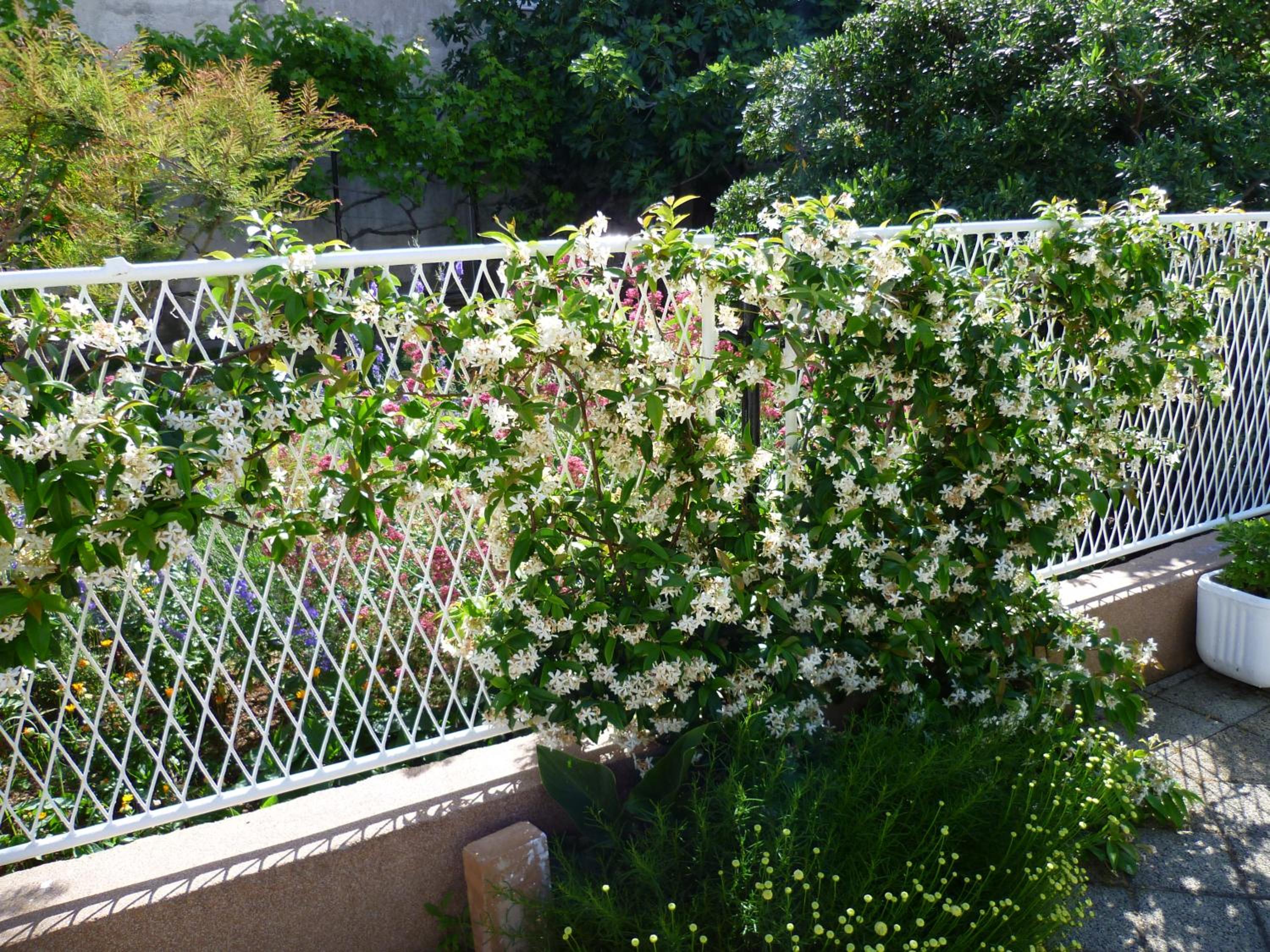 Photo 43