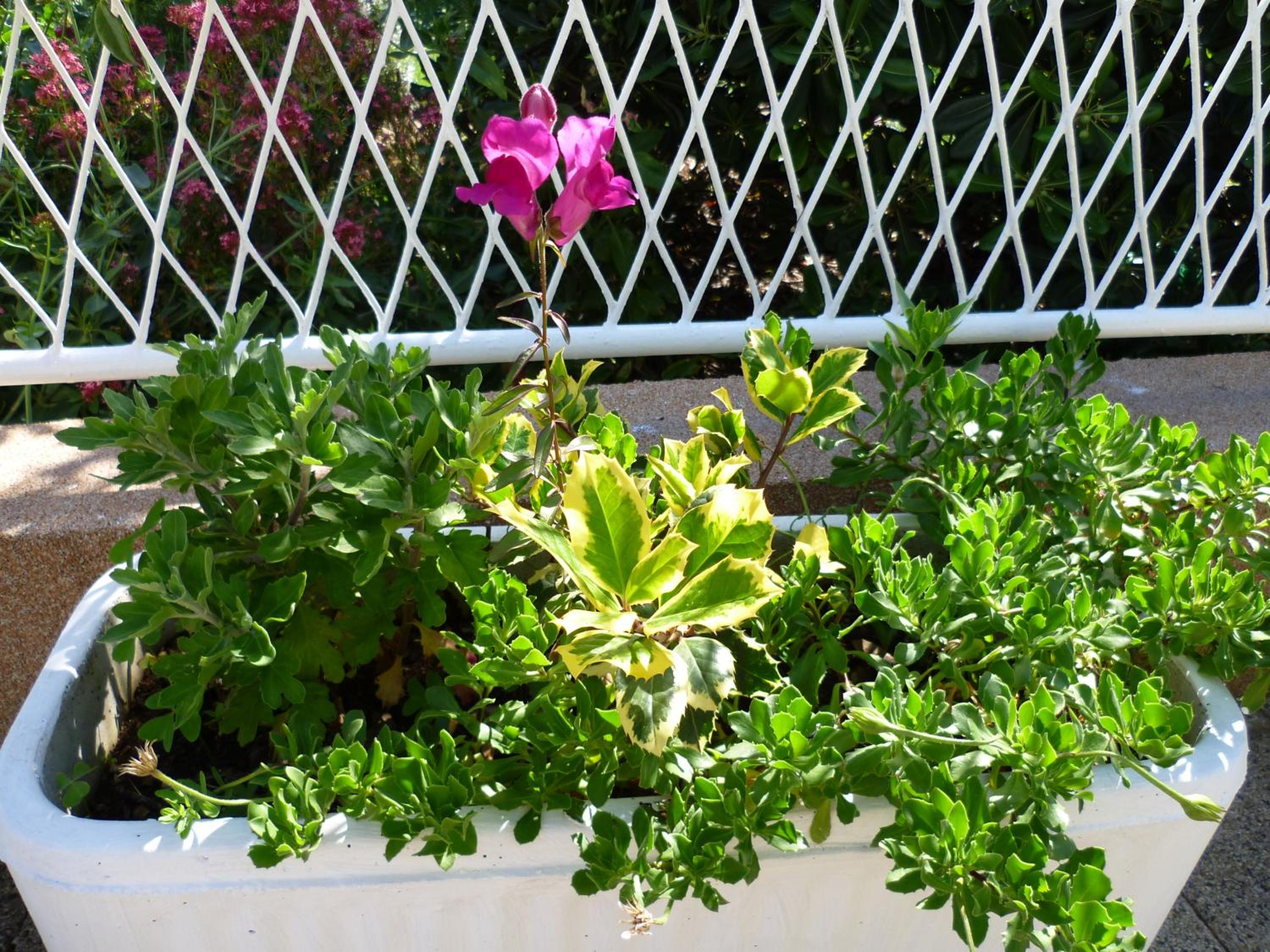 Photo 44