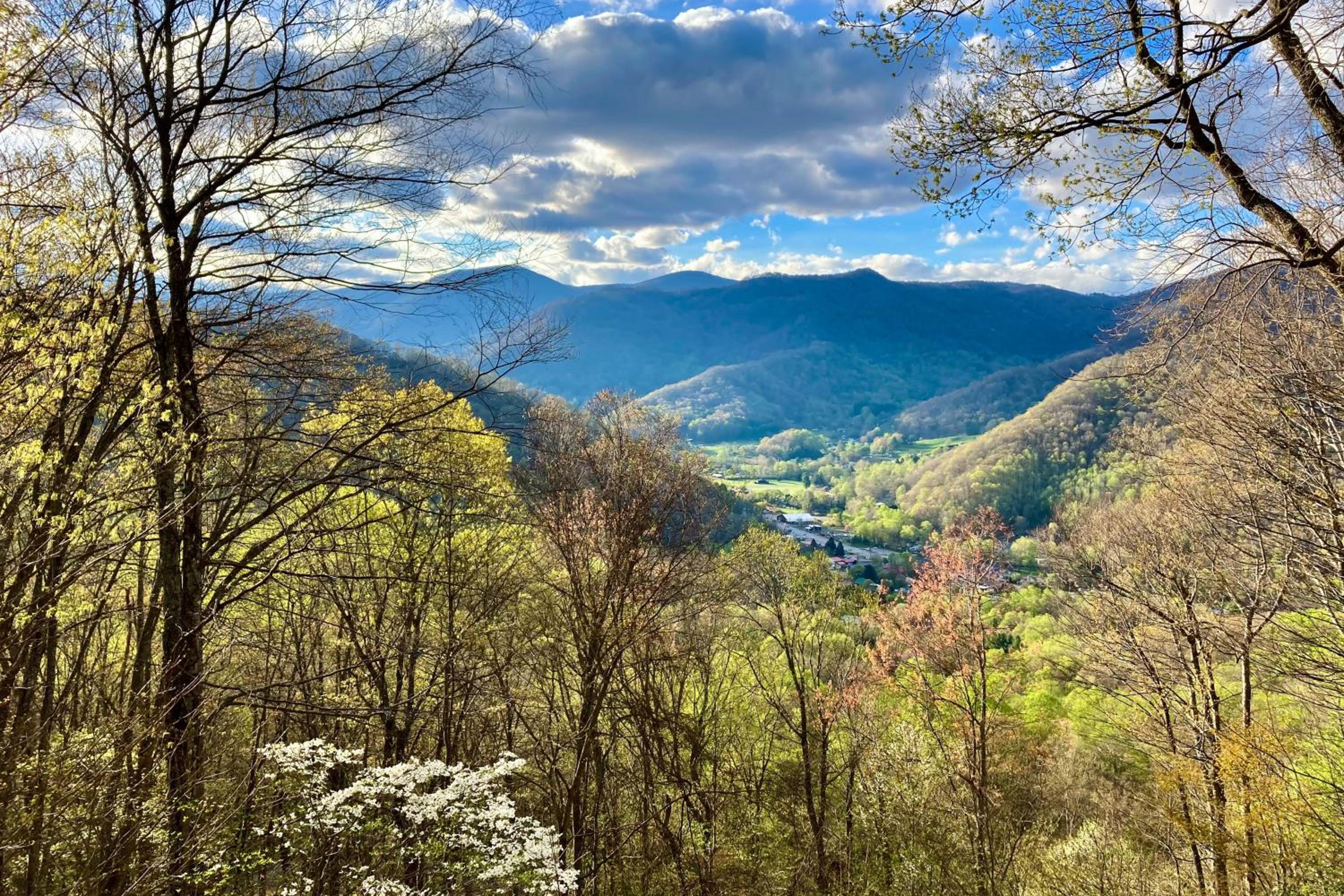 Mtn-View Deck! Maggie Valley Cabin, 8 Mi to Skiing