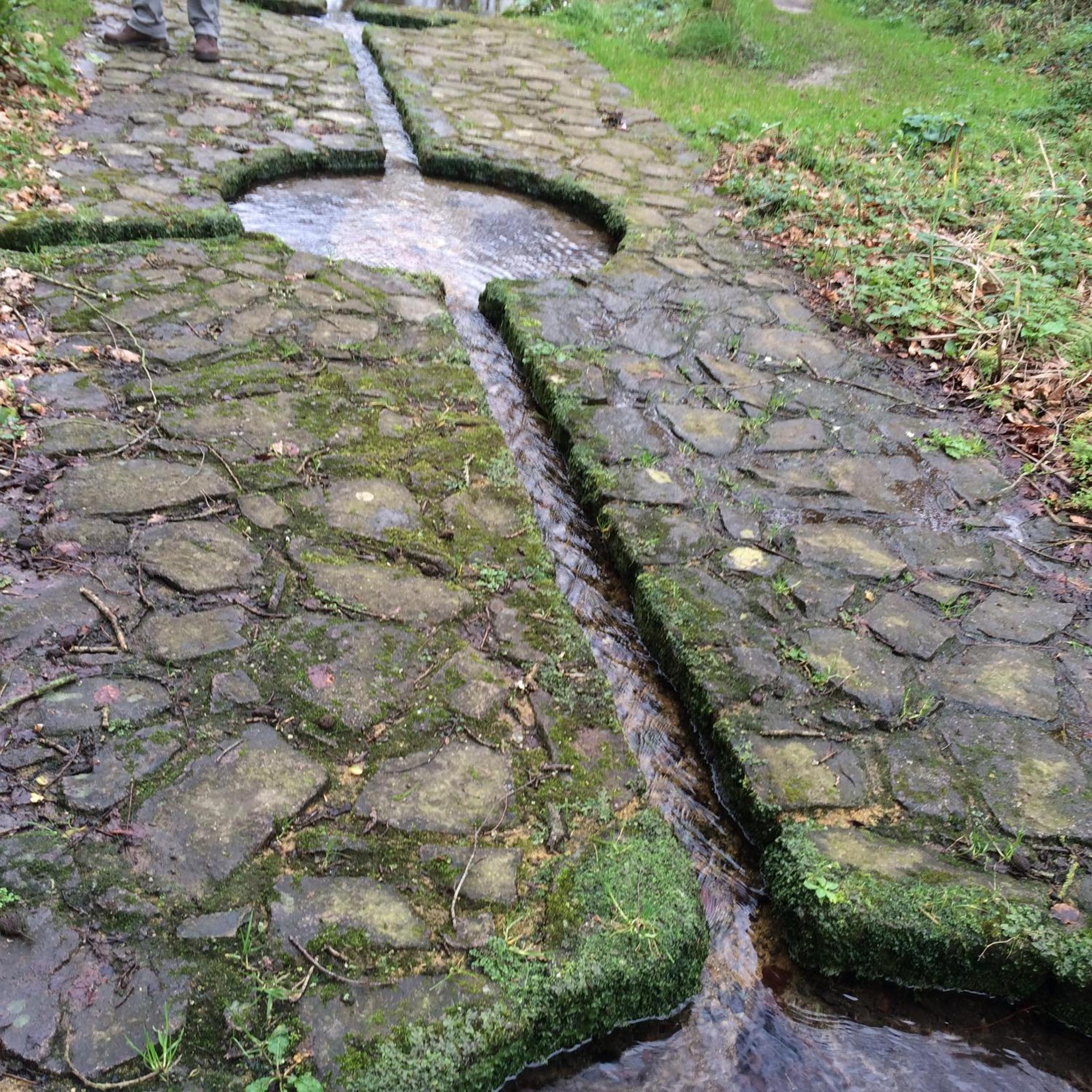 Photo 20