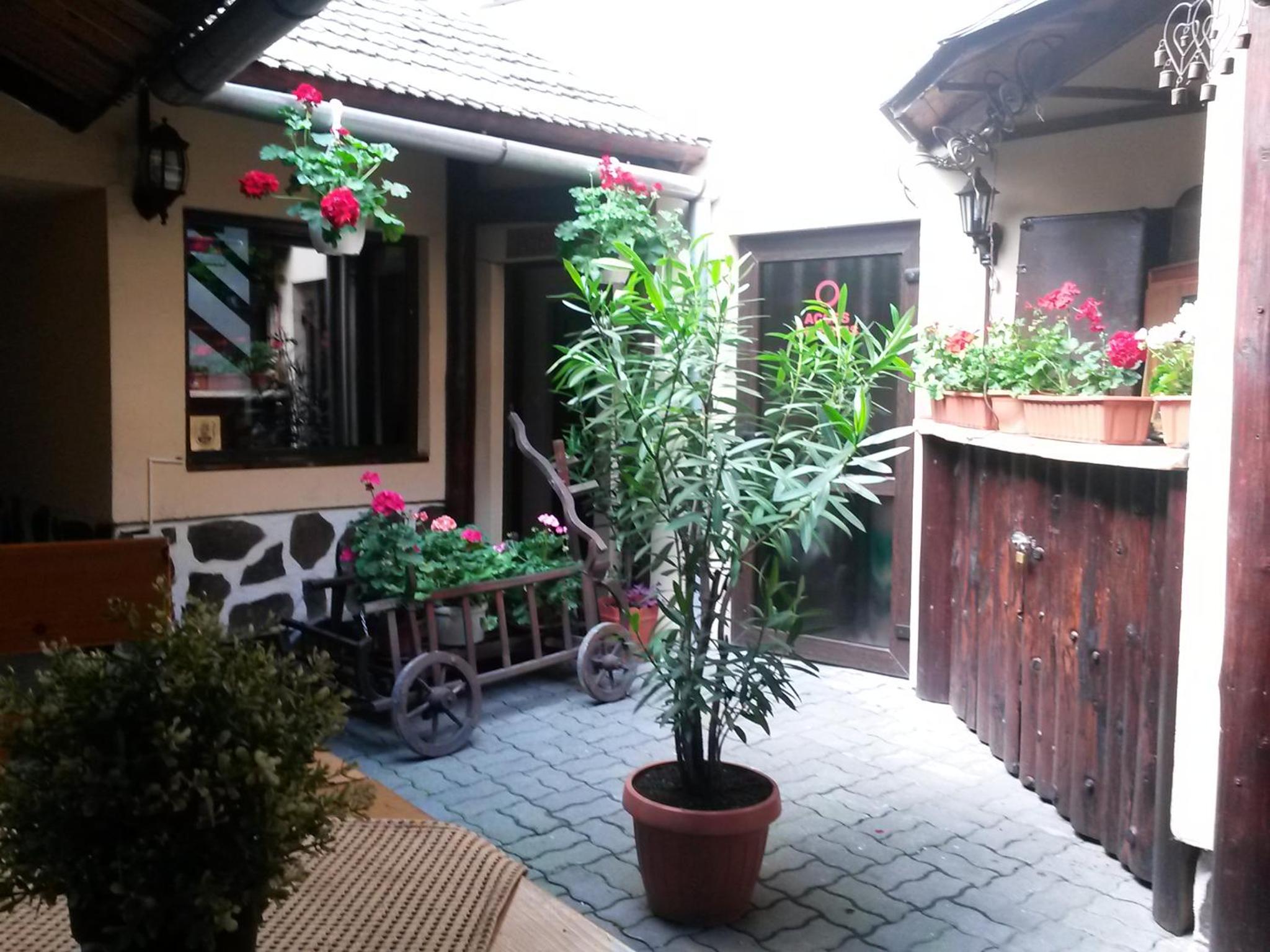 Photo 43