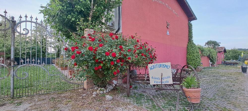 Agriturismo Mulino Bianco, photo 17