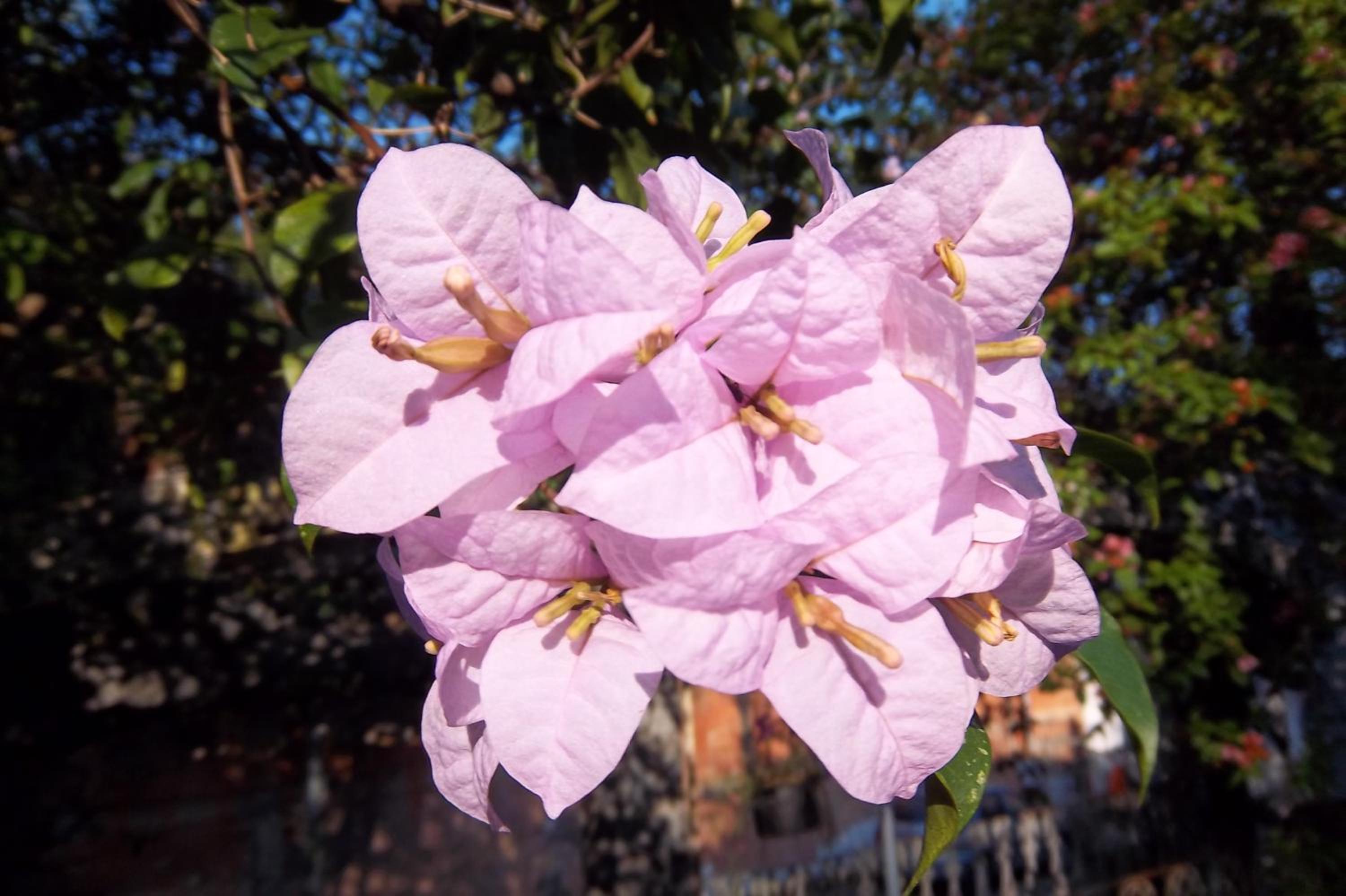 Pousada do Mendonça