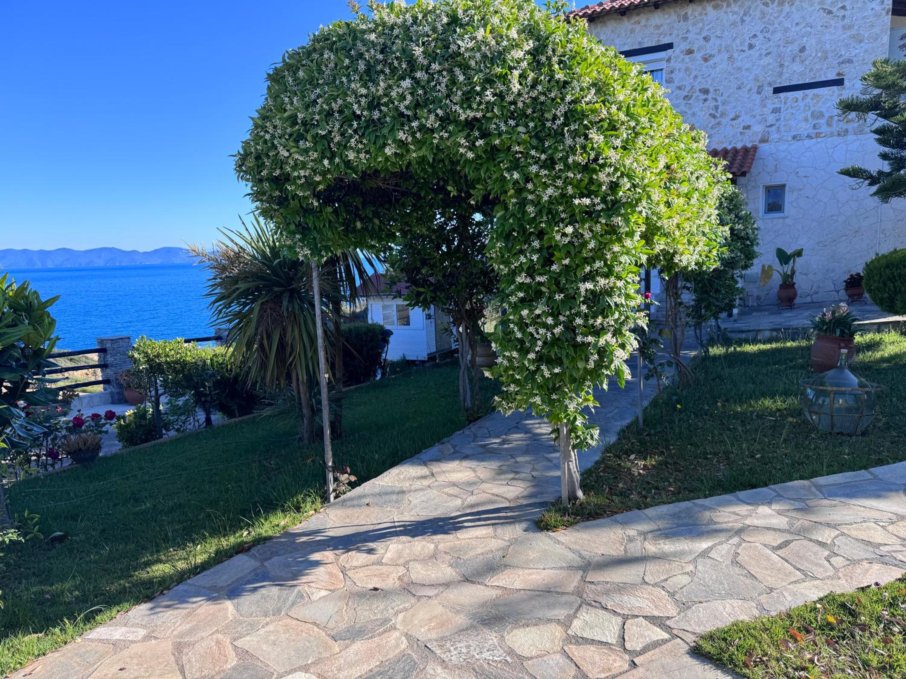 Kyriakos Villa Suite