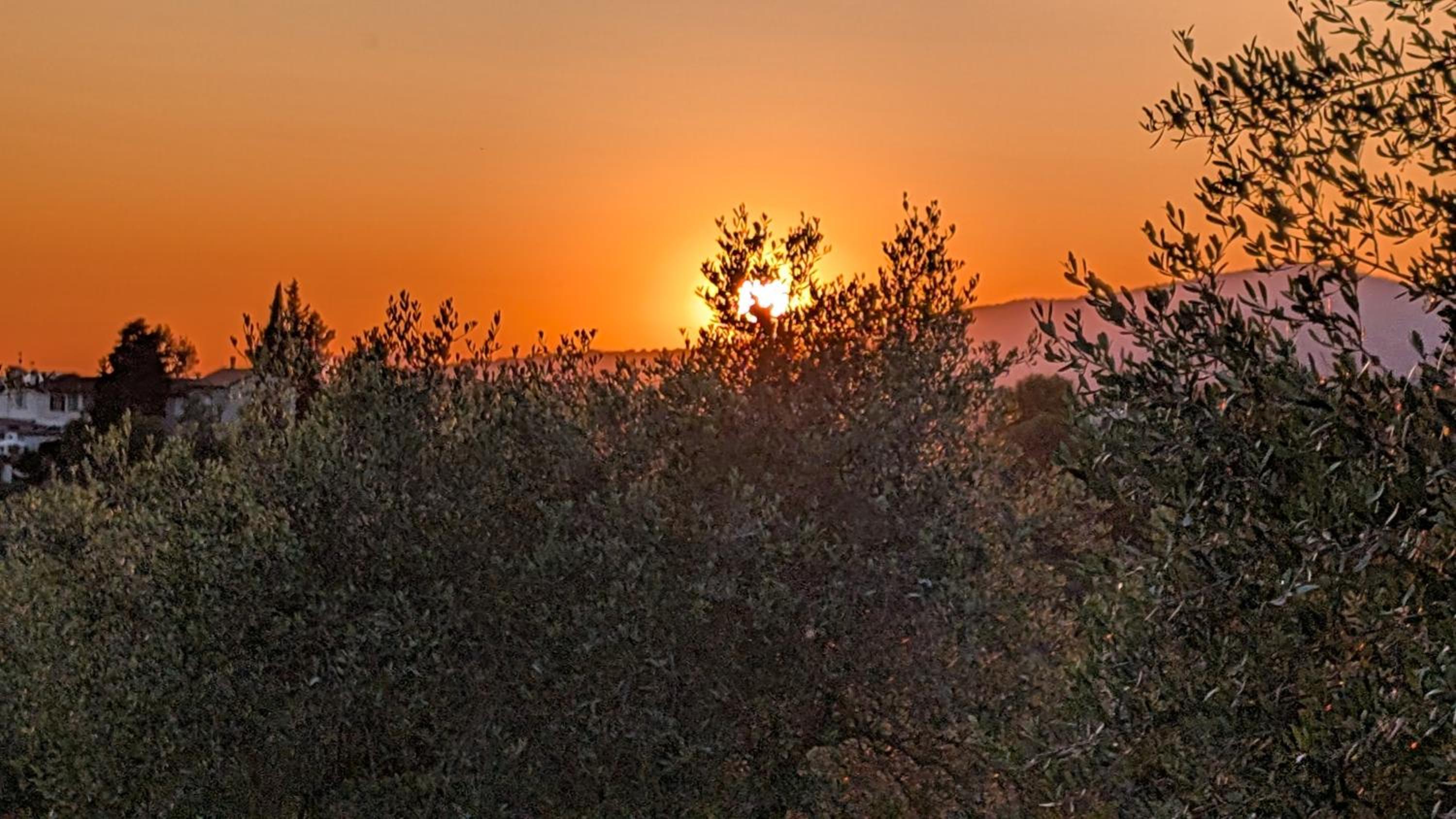 Agriturismo Amici Miei