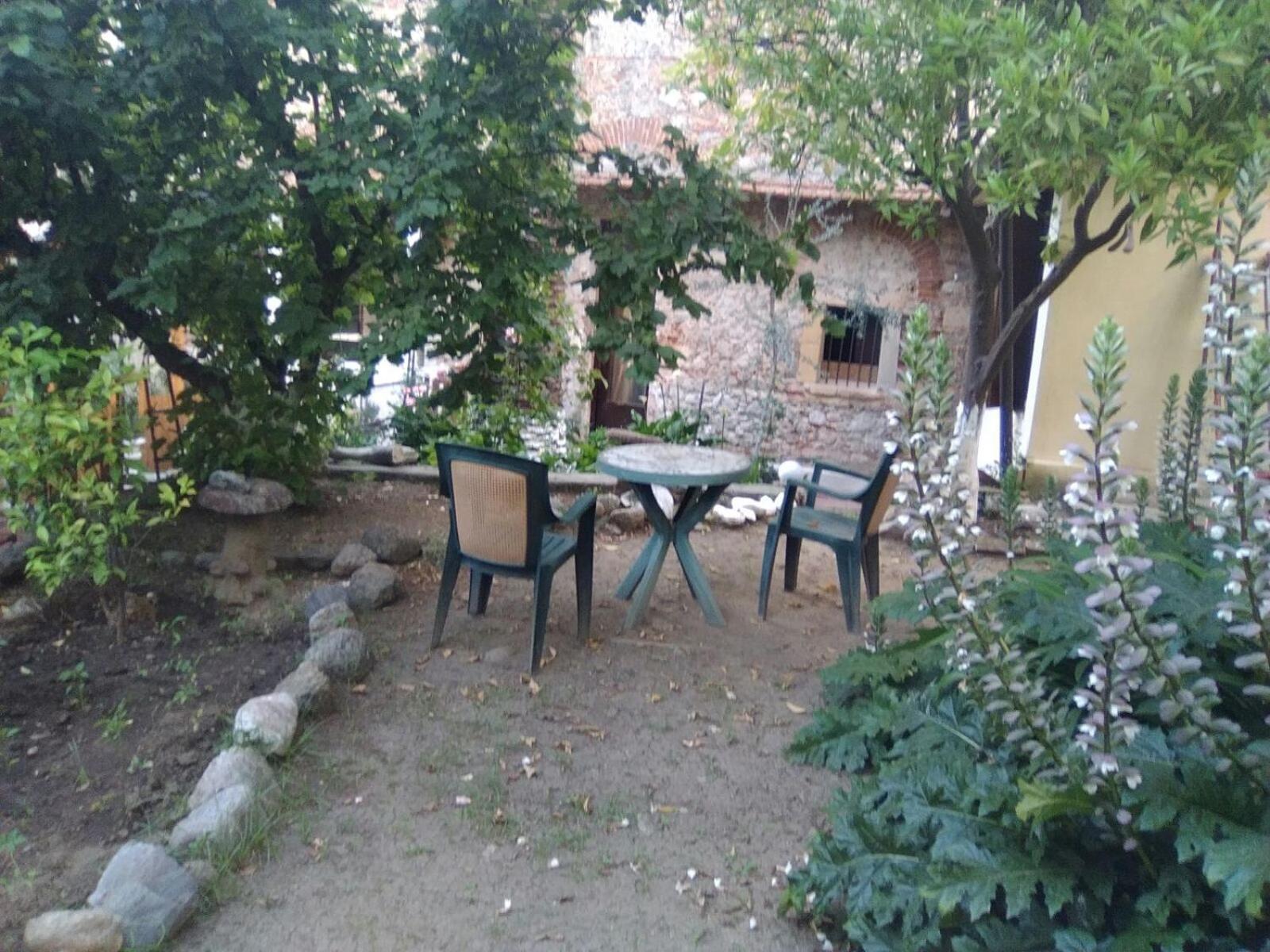 Old Garden