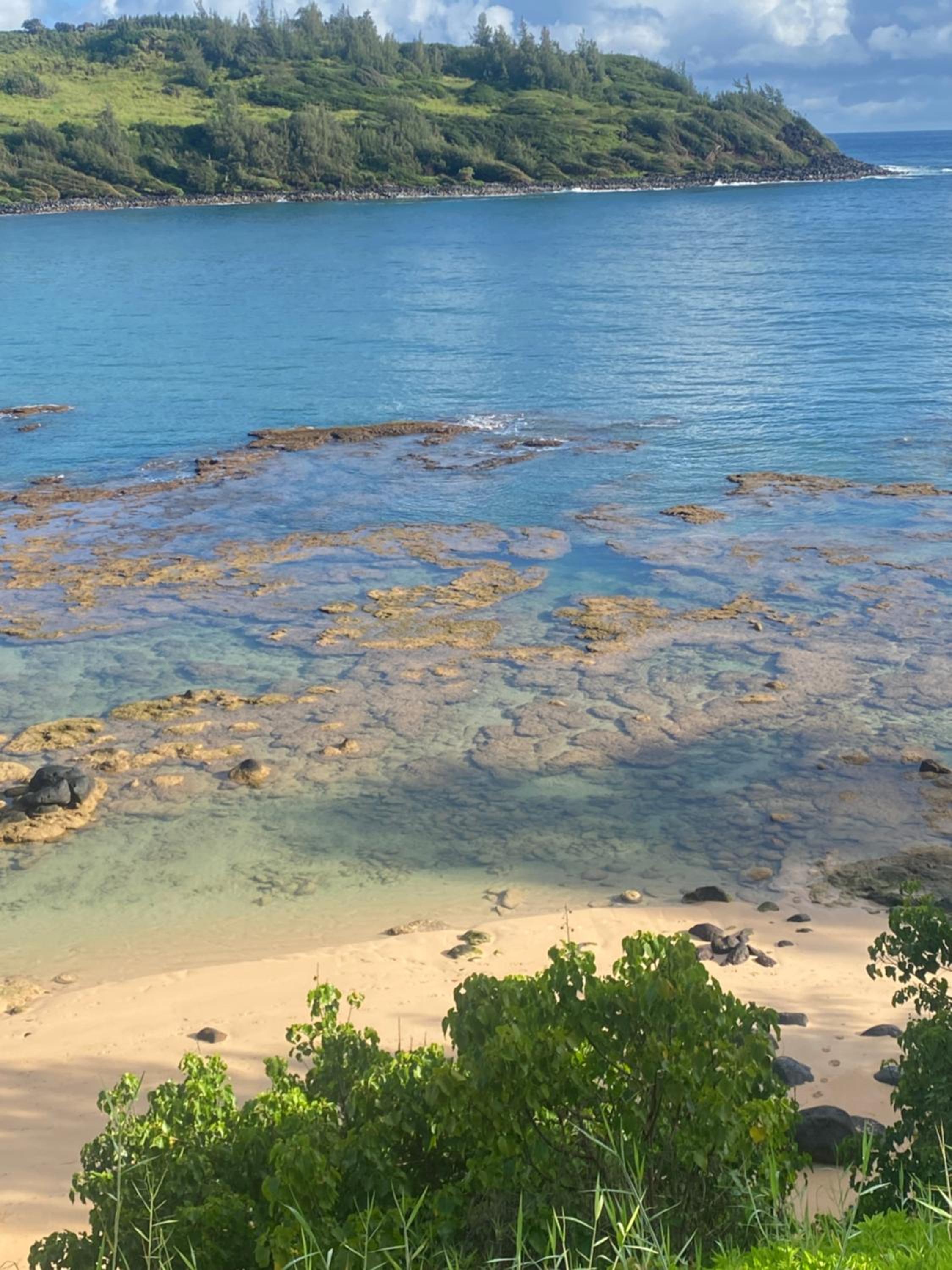 This is it! Dreamy Beach, Stunning Views, Awesome Location 10 guest limit