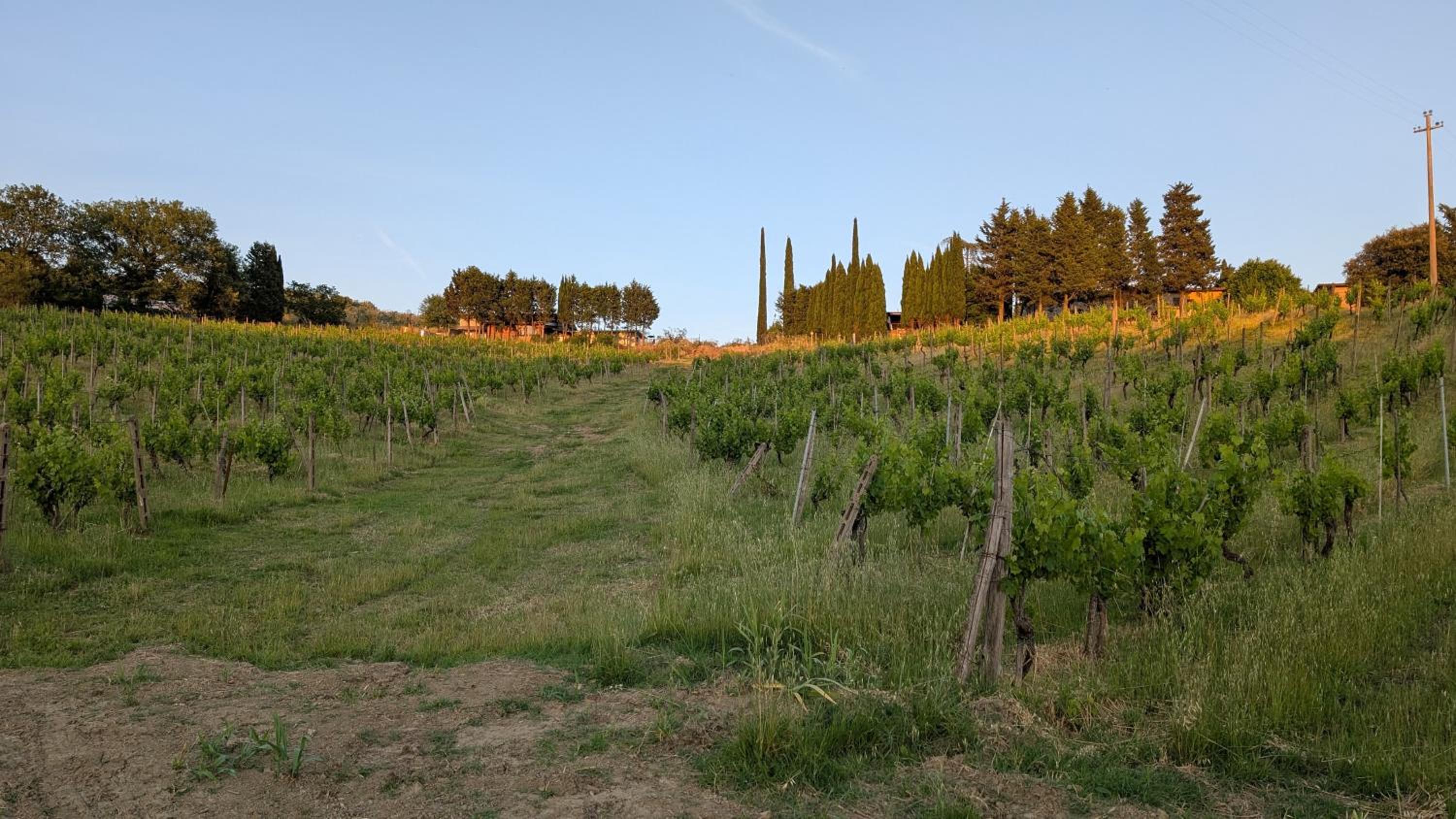 Agriturismo Amici Miei