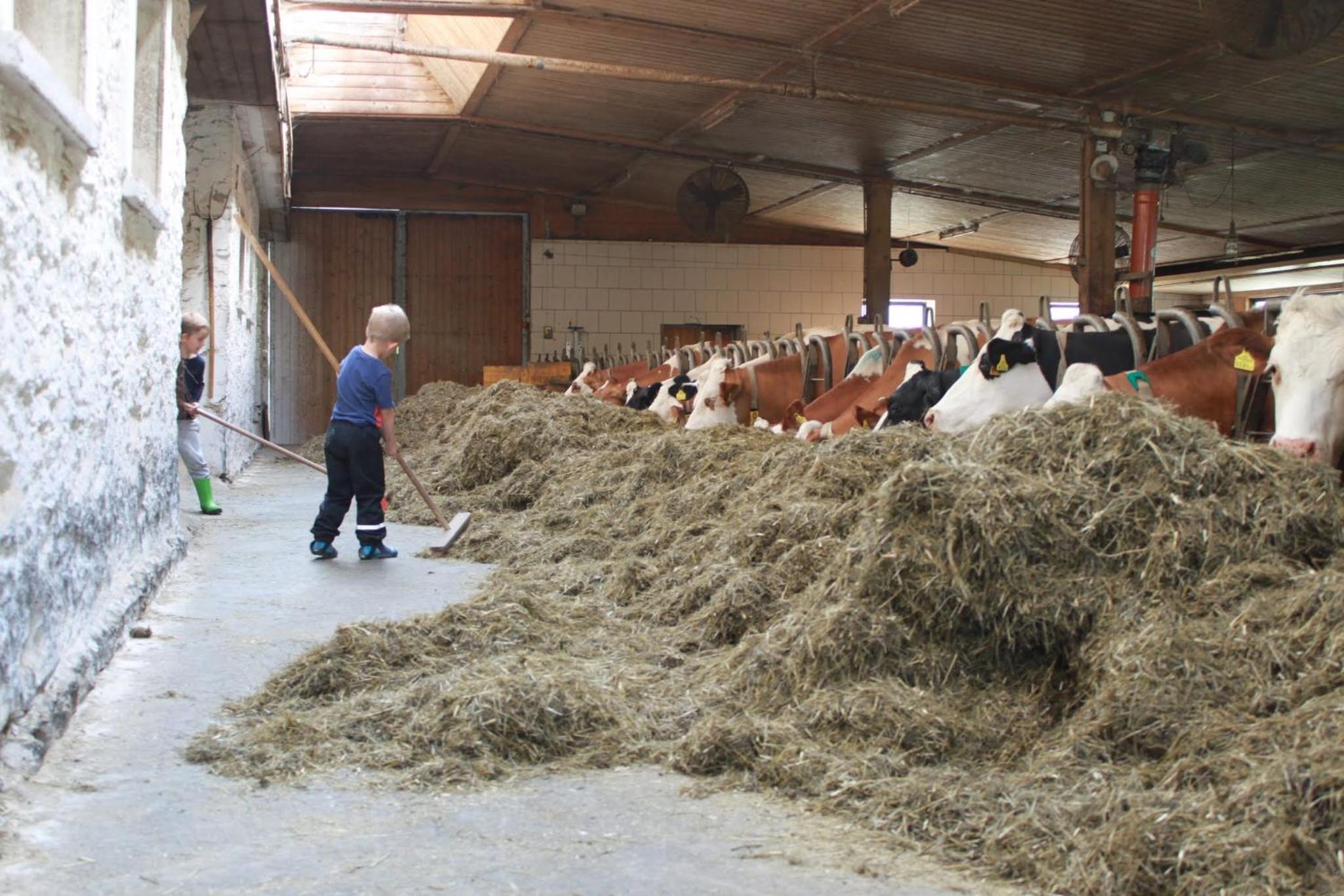 Bad Kleinkirchheim Bio Naturhof Ottingerhof