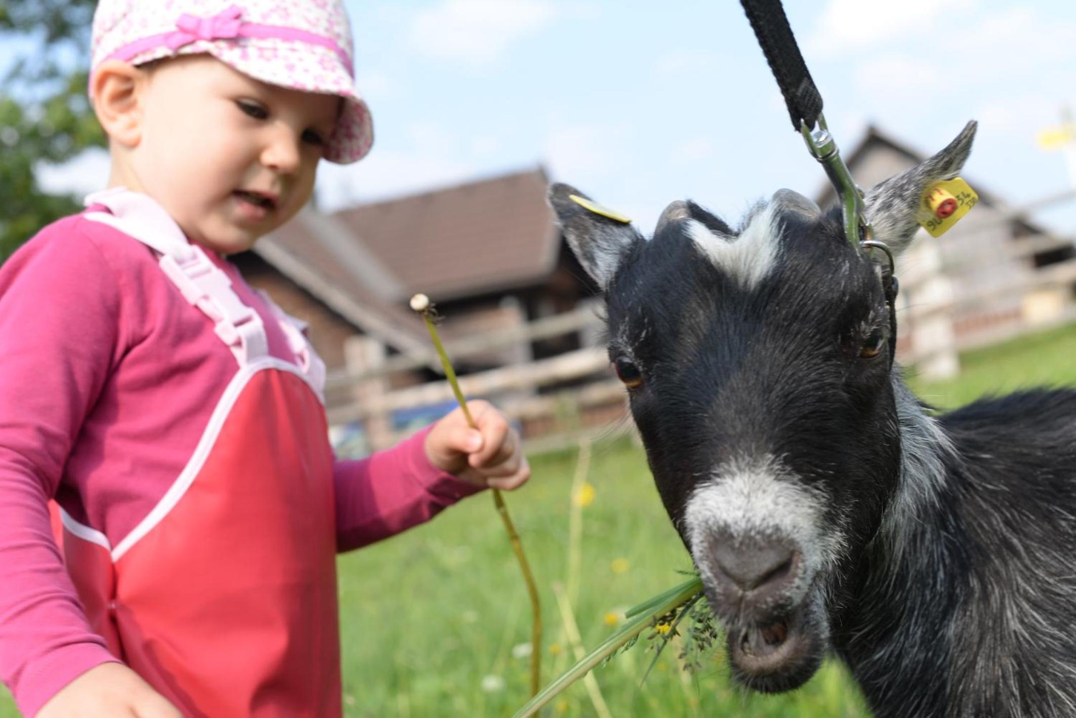 Bad Kleinkirchheim Bio Naturhof Ottingerhof