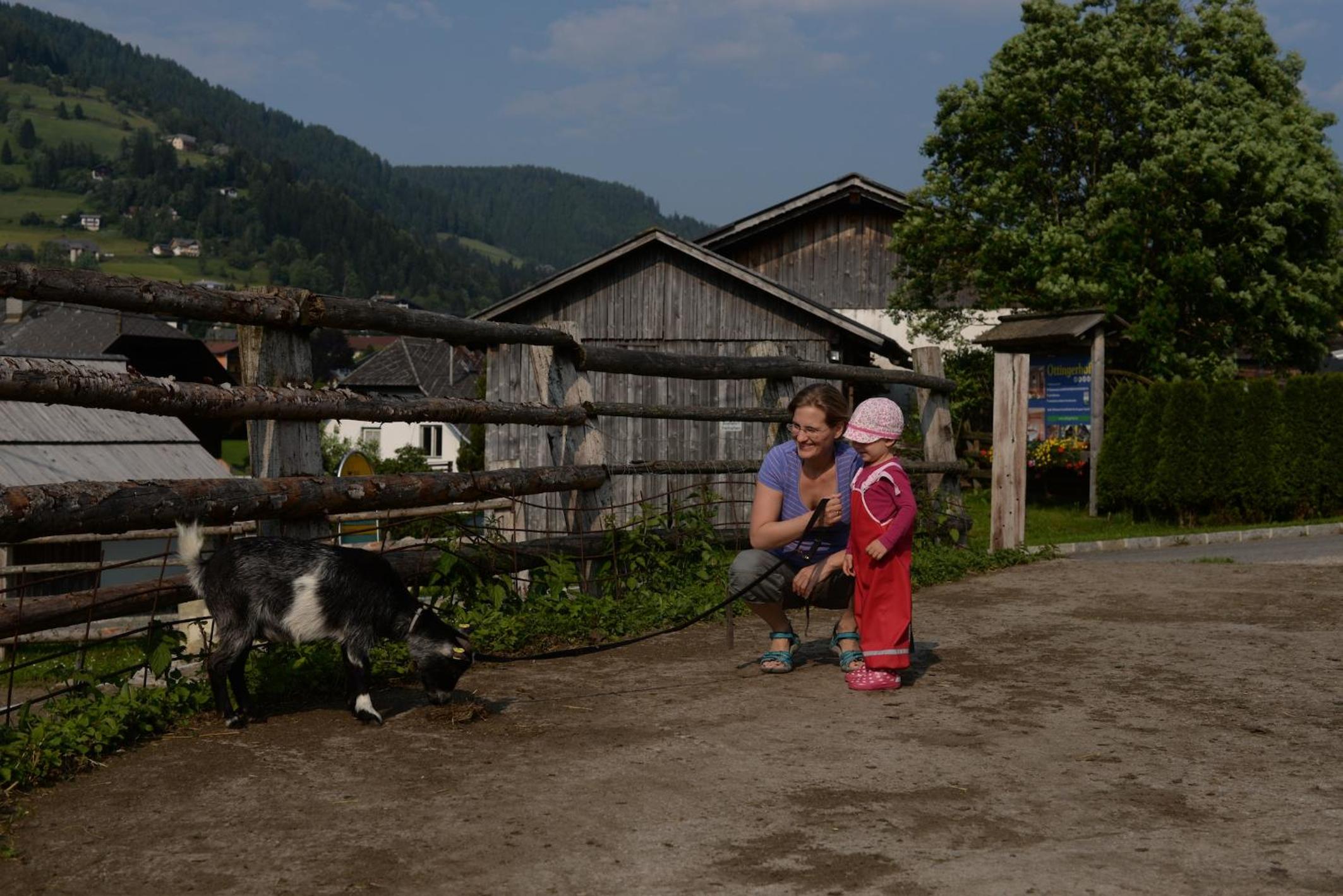 Bad Kleinkirchheim Bio Naturhof Ottingerhof
