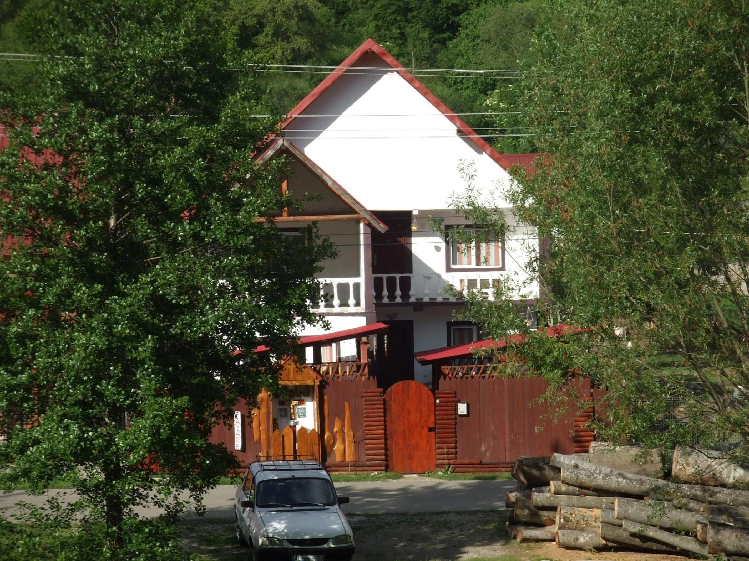 Casa Denisa Vidraru transfgarasan view 3
