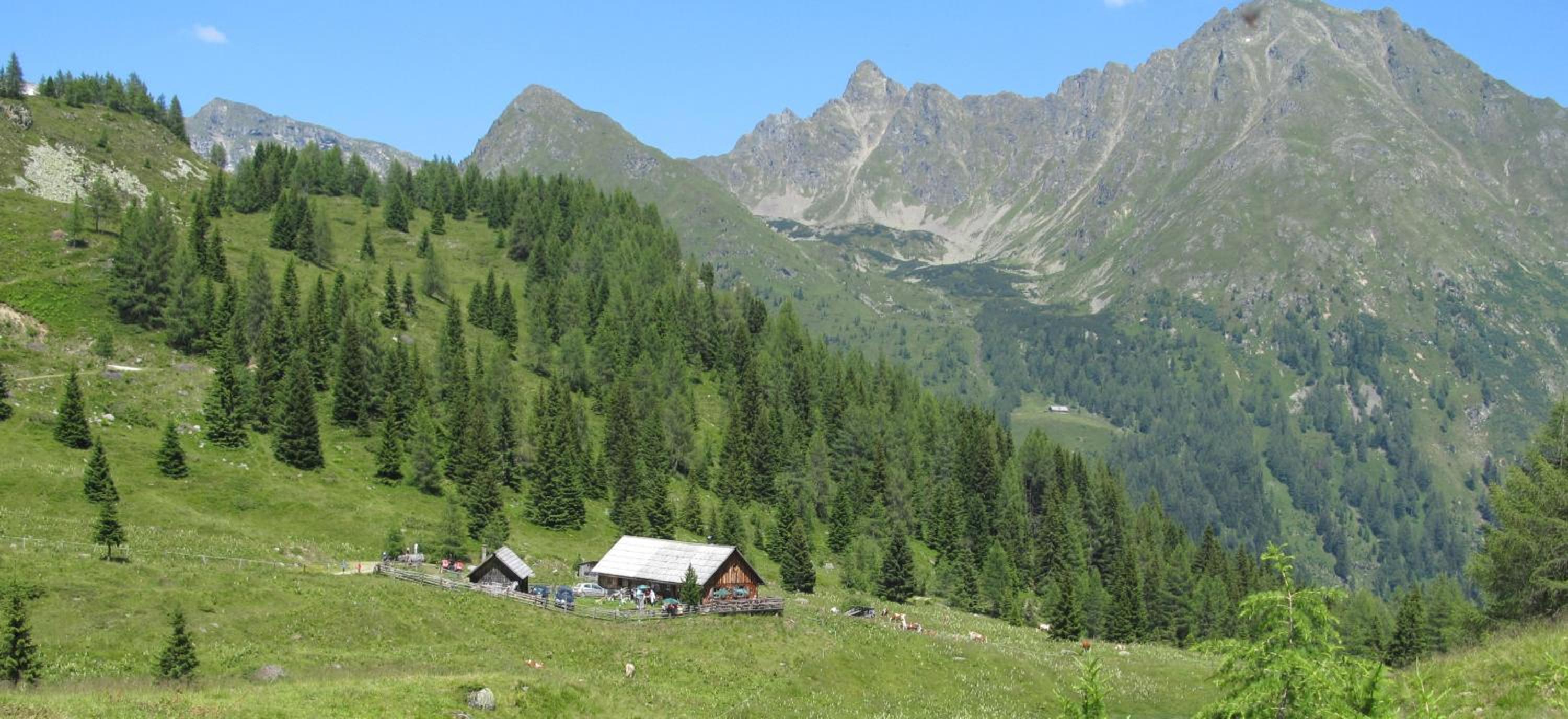 Biobauernhof Tonimörtl