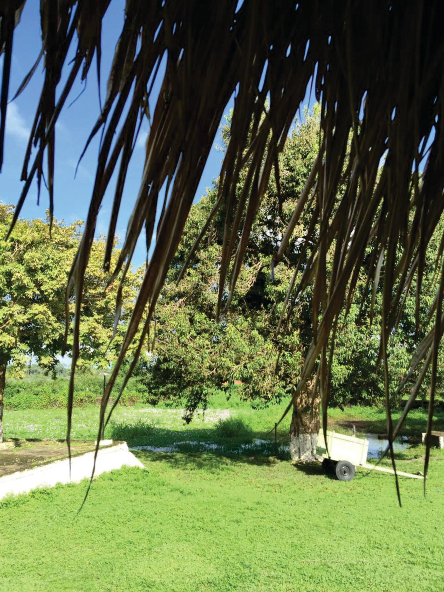 Pousada Marajoara- Hotel Fazenda-Turismo de Aventura