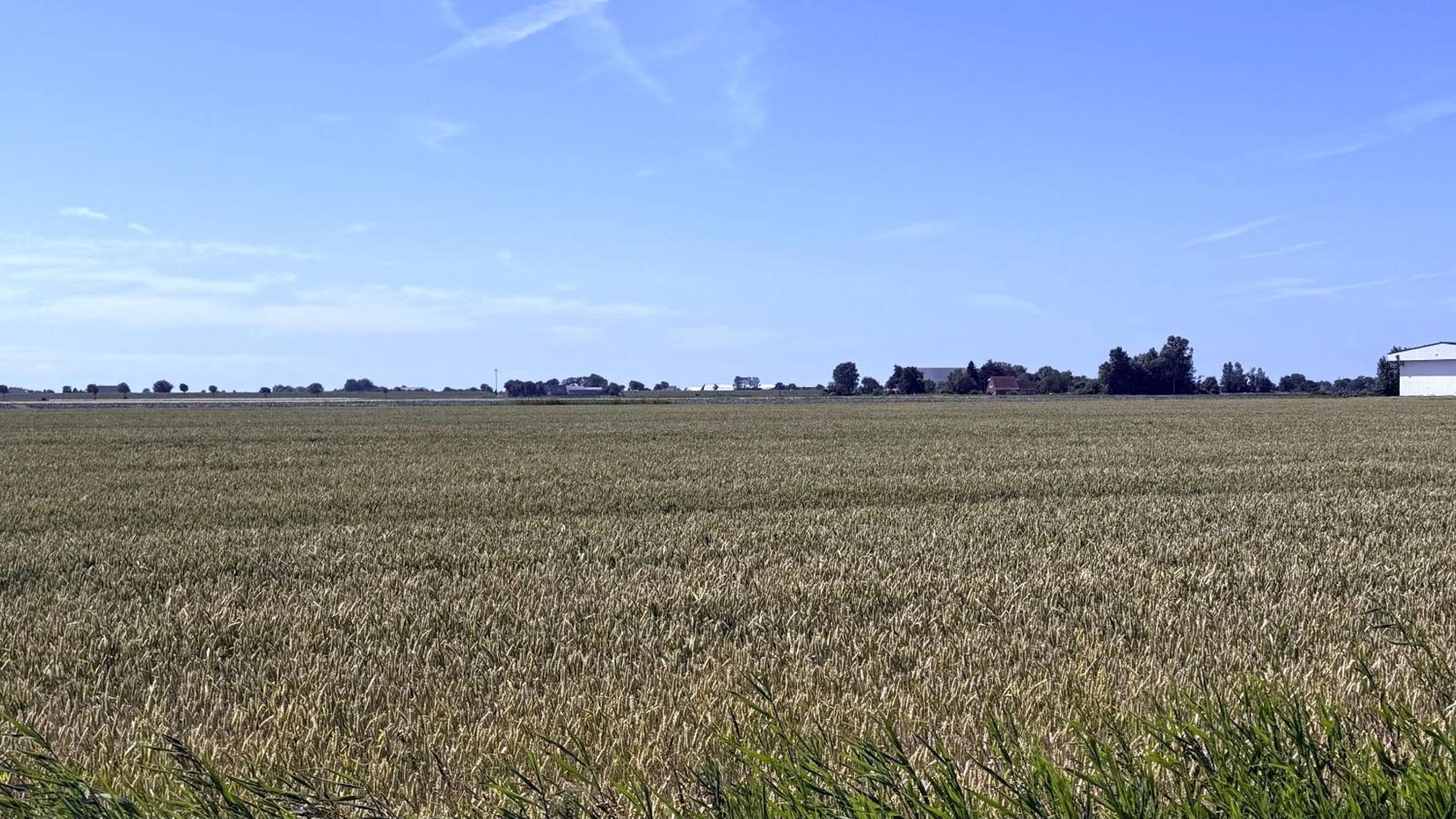 Ferienhof am Meer