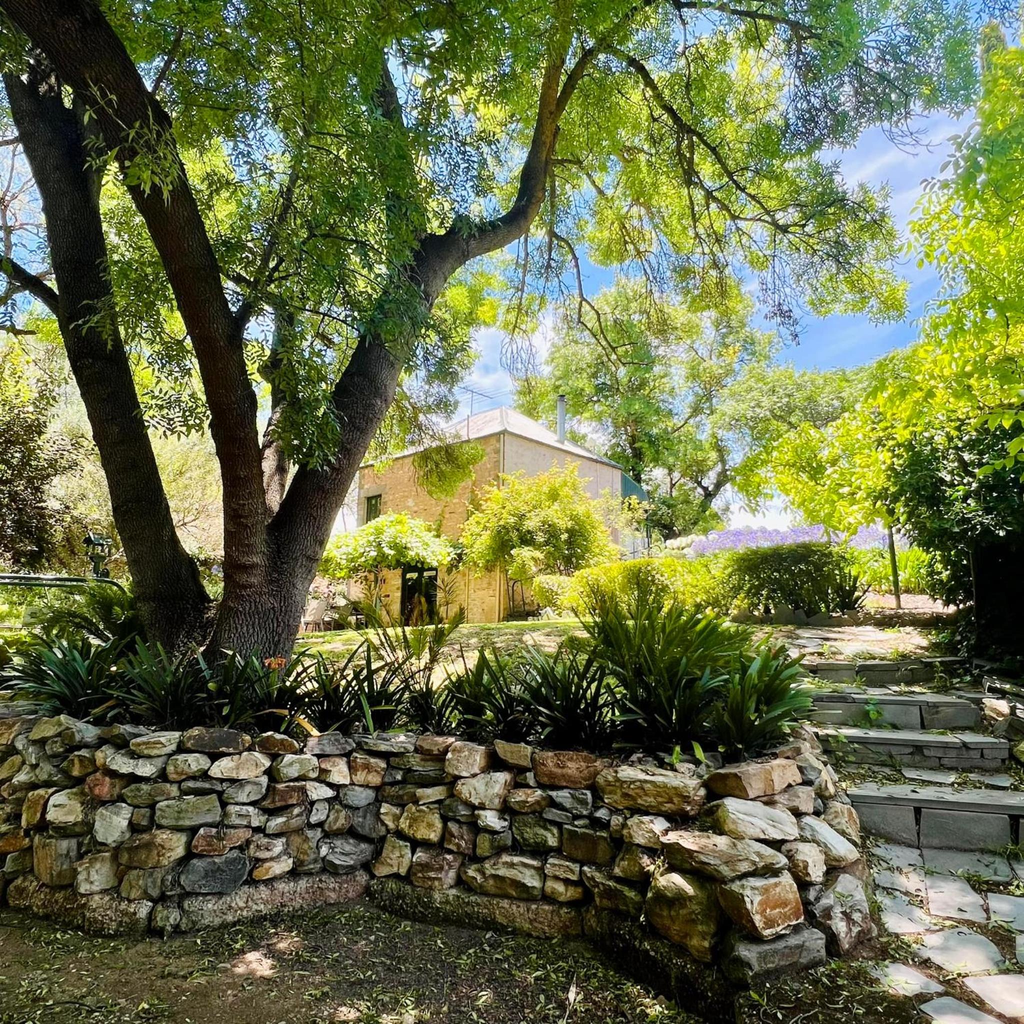 Wild Olive Cottage Clare Valley