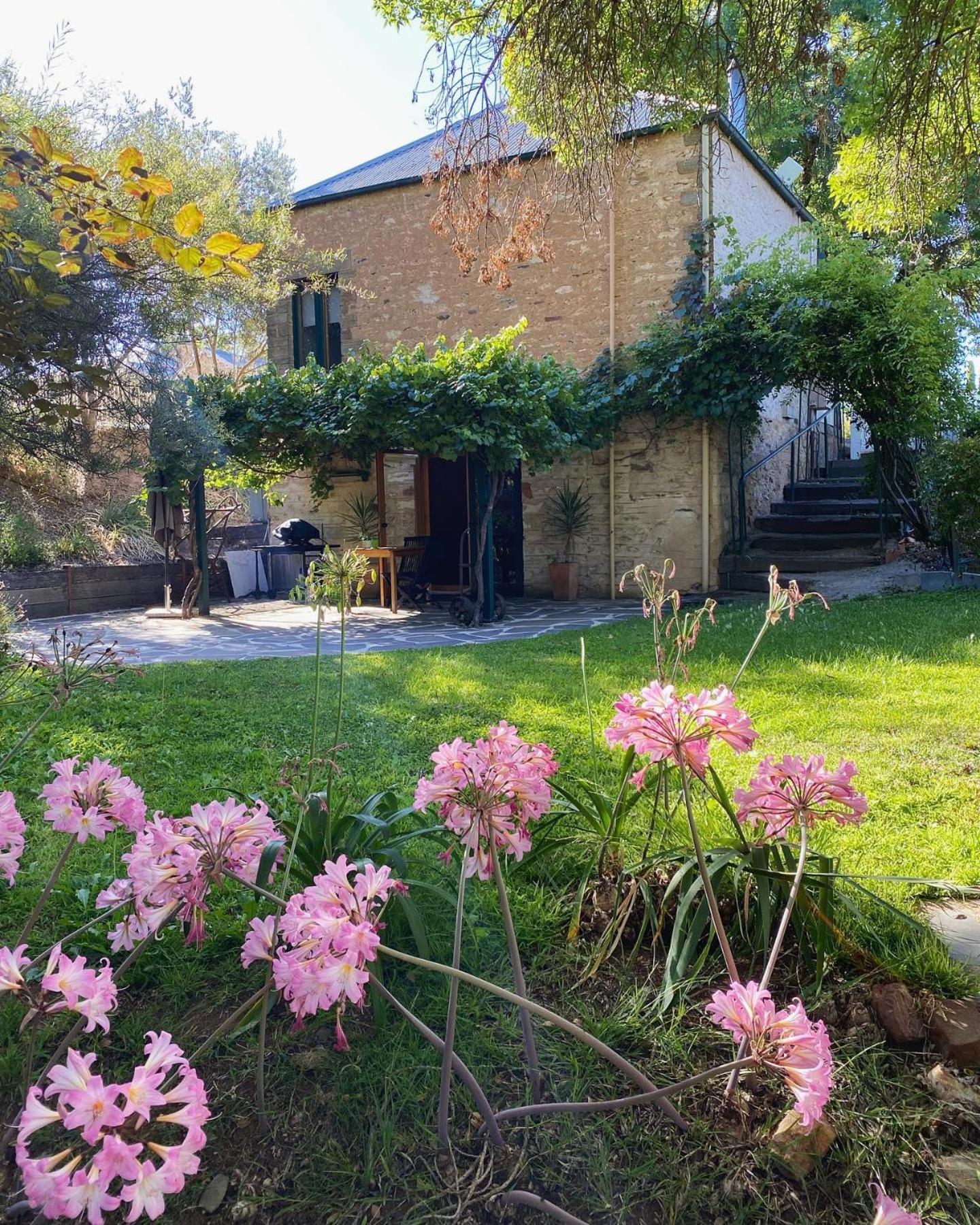 Wild Olive Cottage Clare Valley