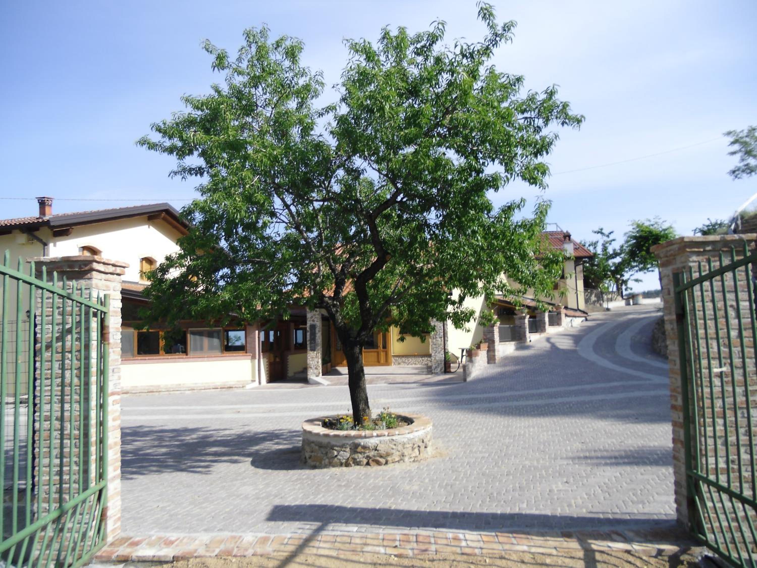 Agriturismo La Pigna view 4