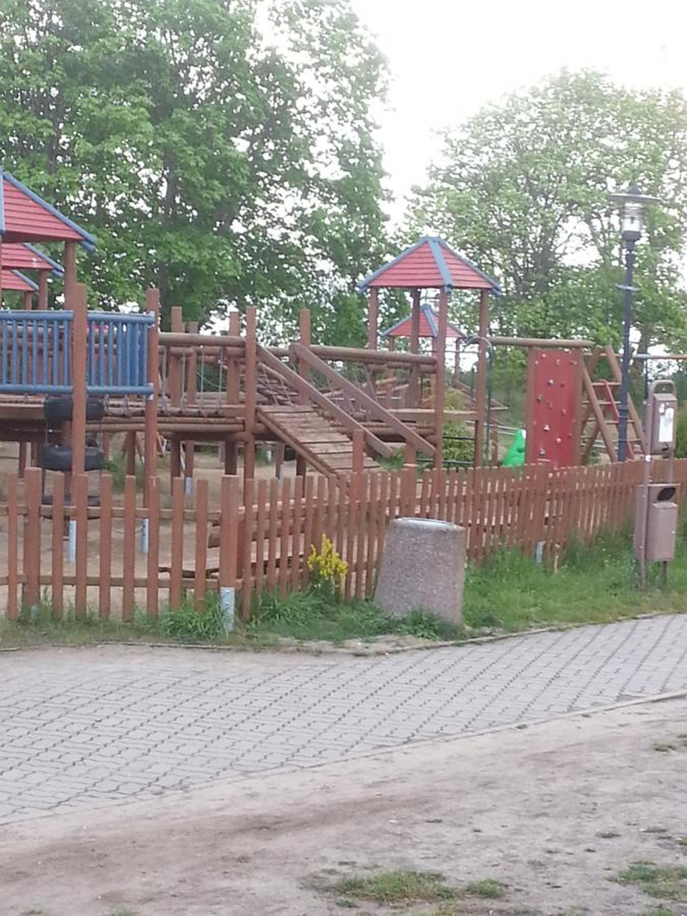 Photo 48