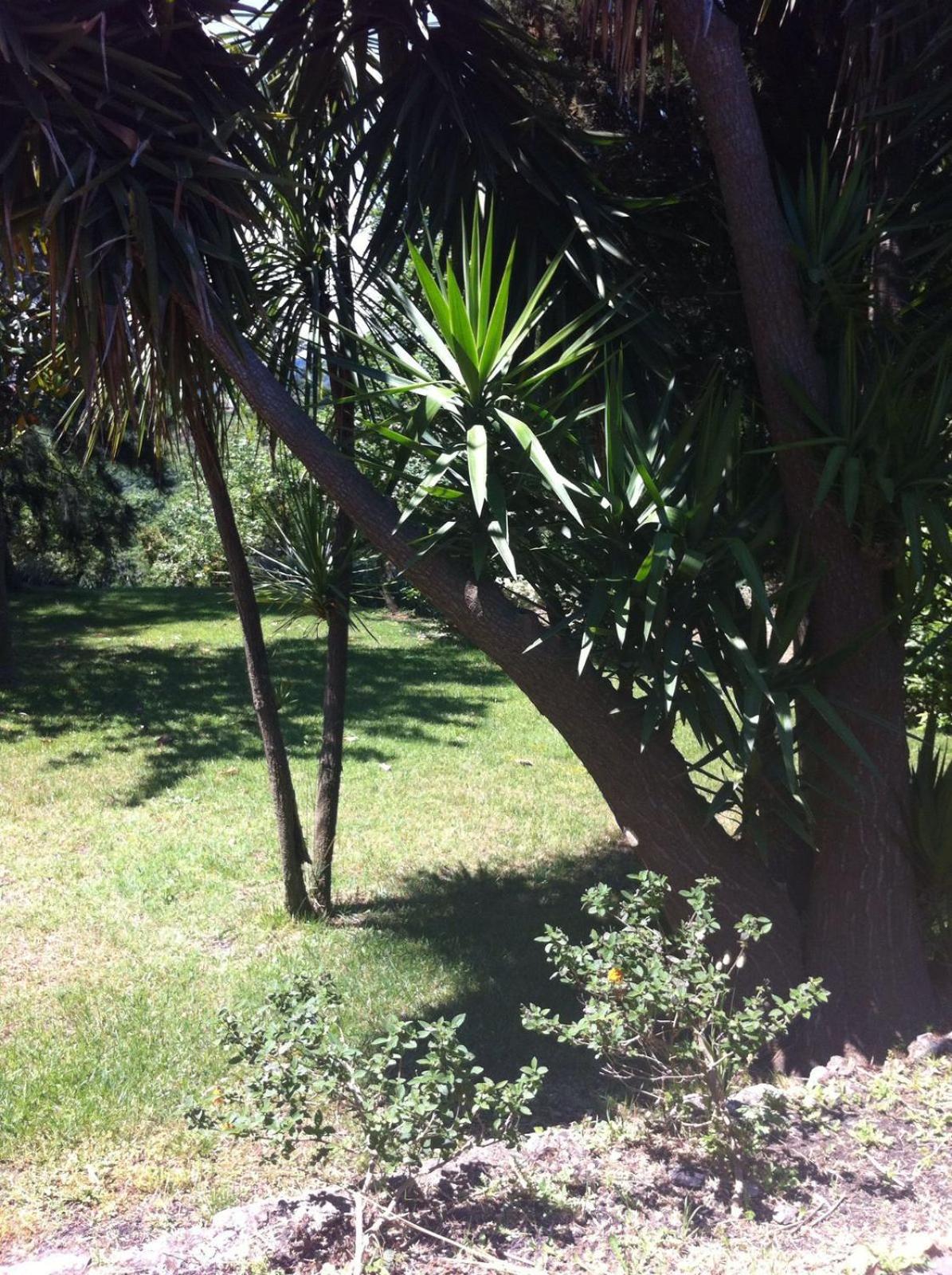 Photo 32