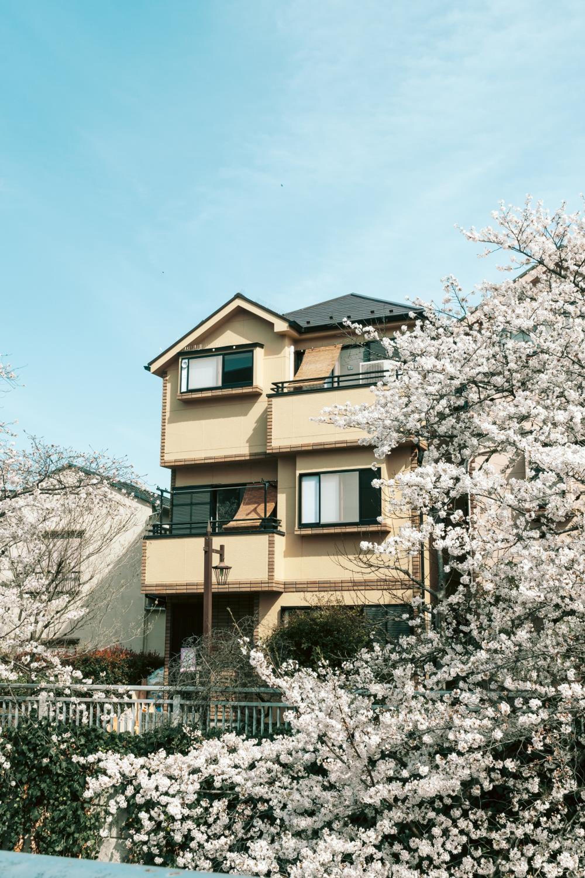 ERA1220 Shinjuku,3bedroom,8people
