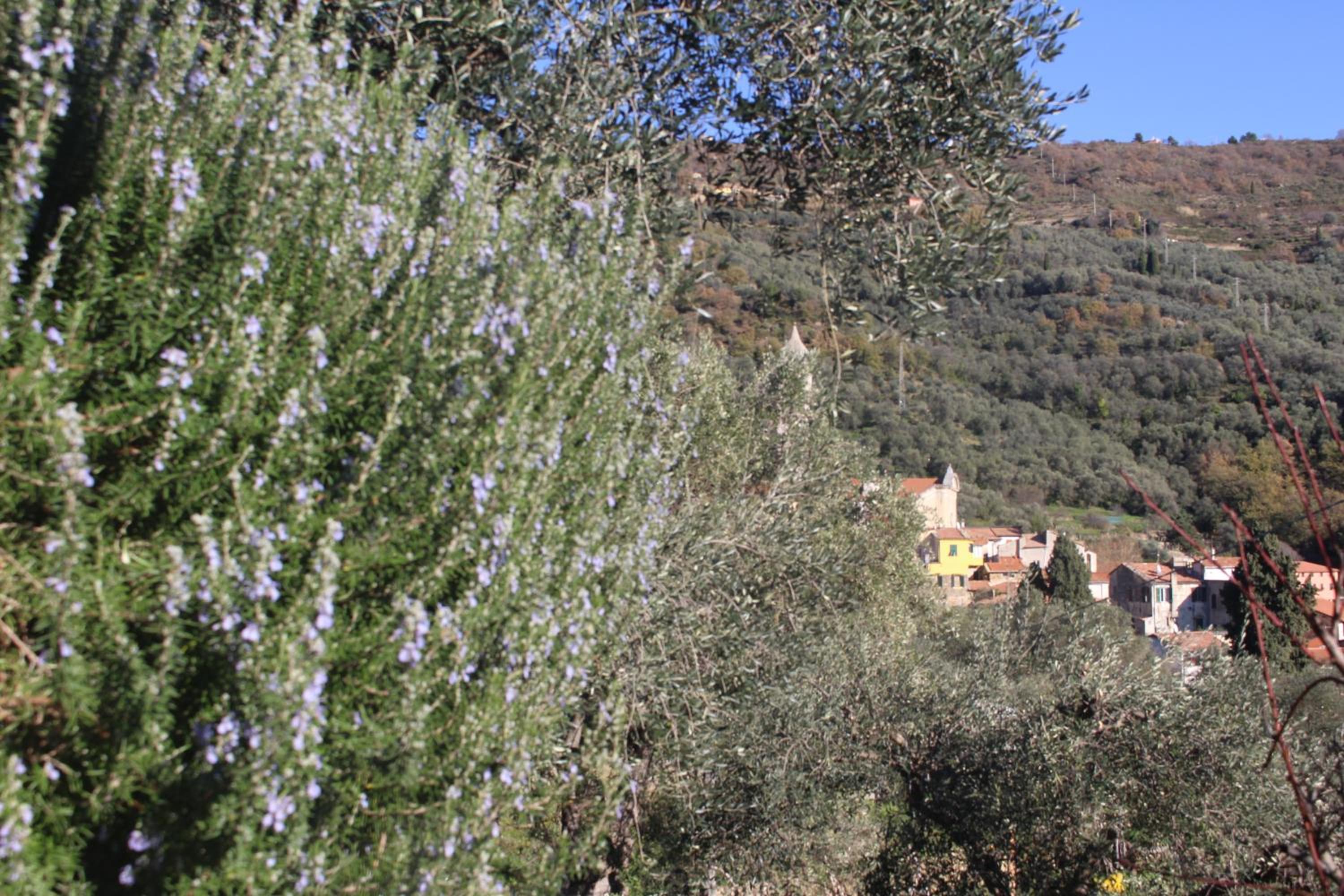 Montegrazie Apartment view 4