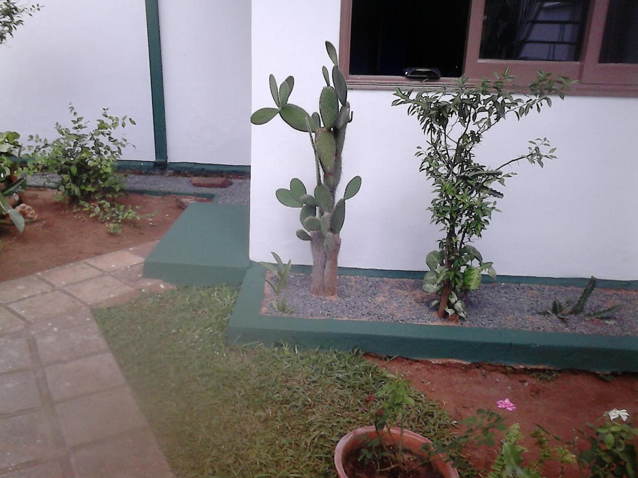 Nueva Alborada Lodging House, photo 74