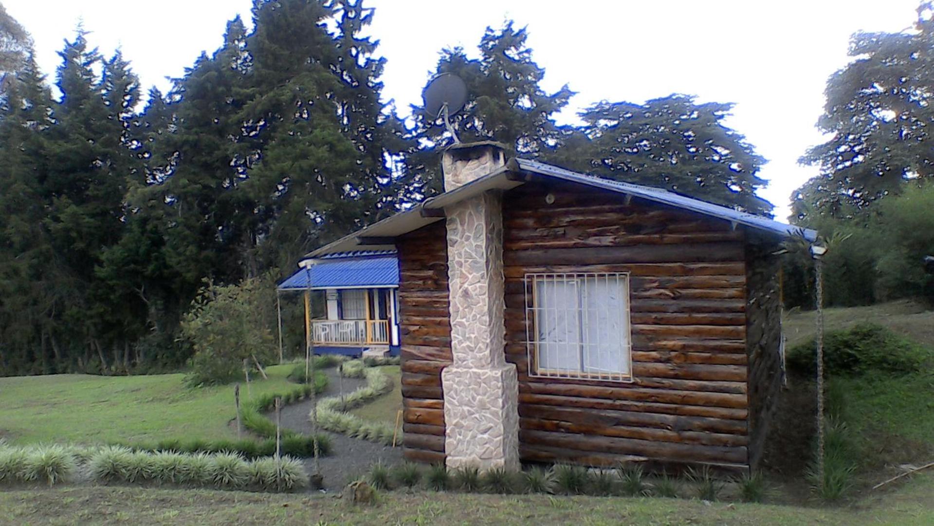 Photo 36