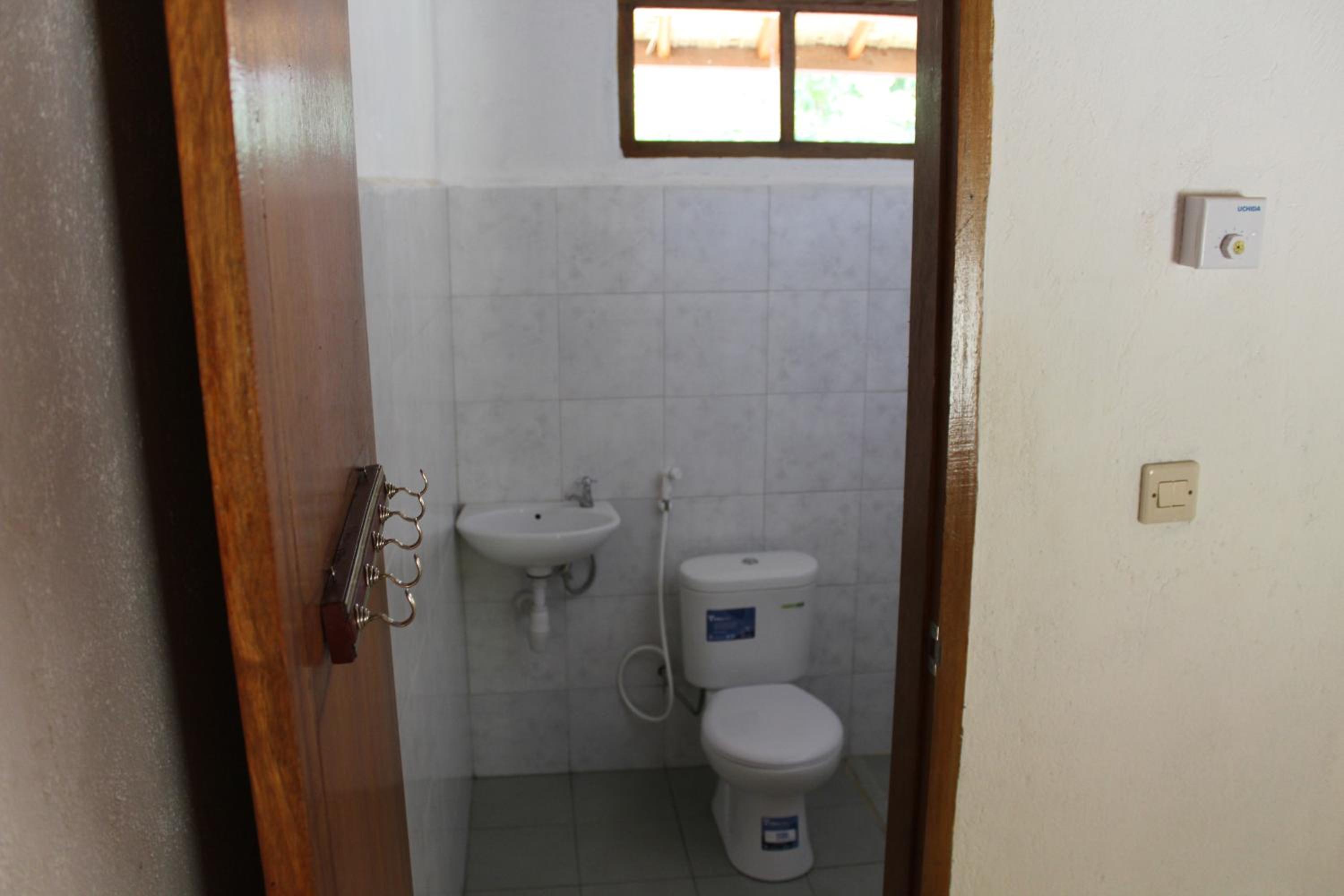 Photo 50