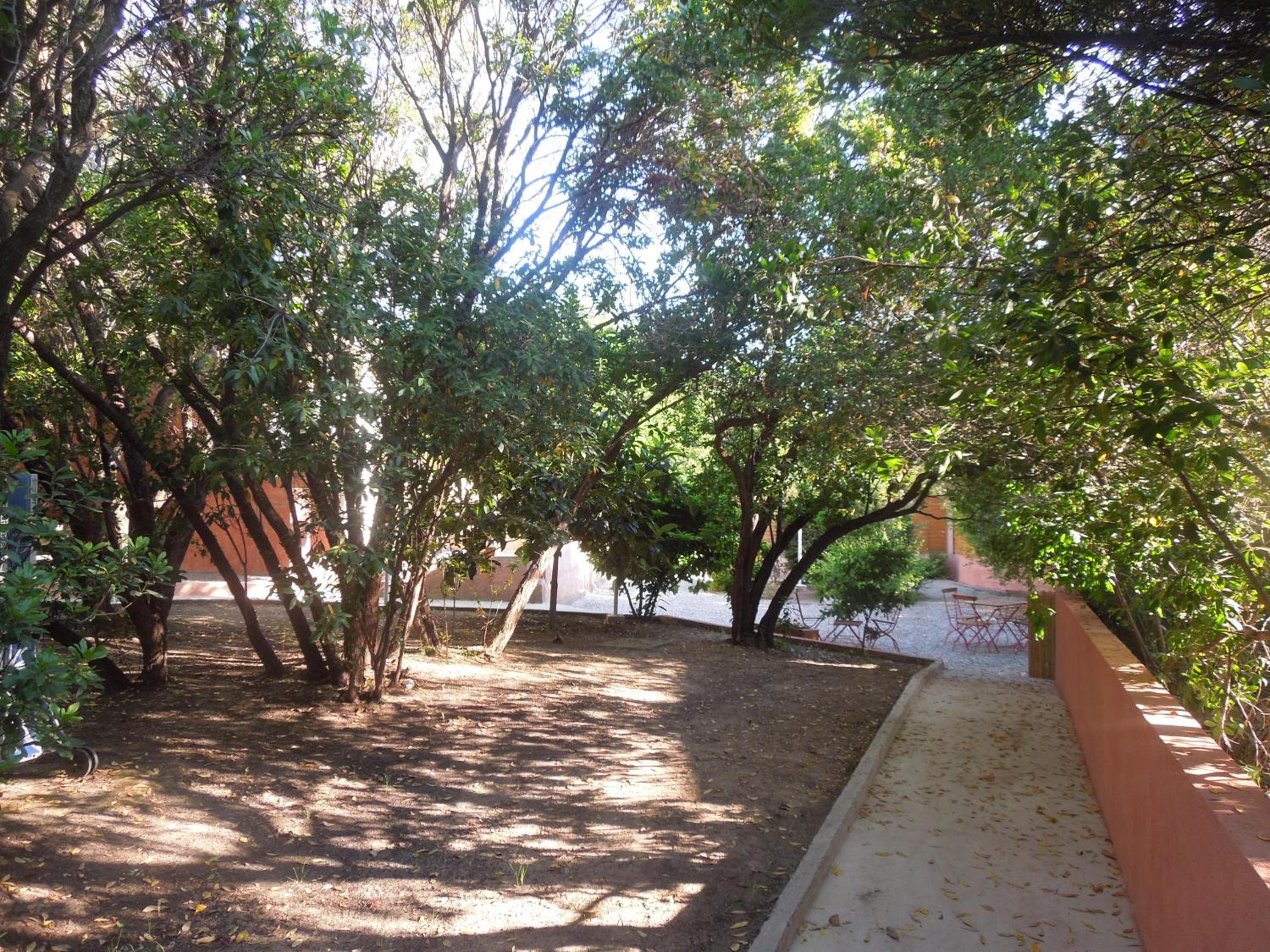 Photo 46