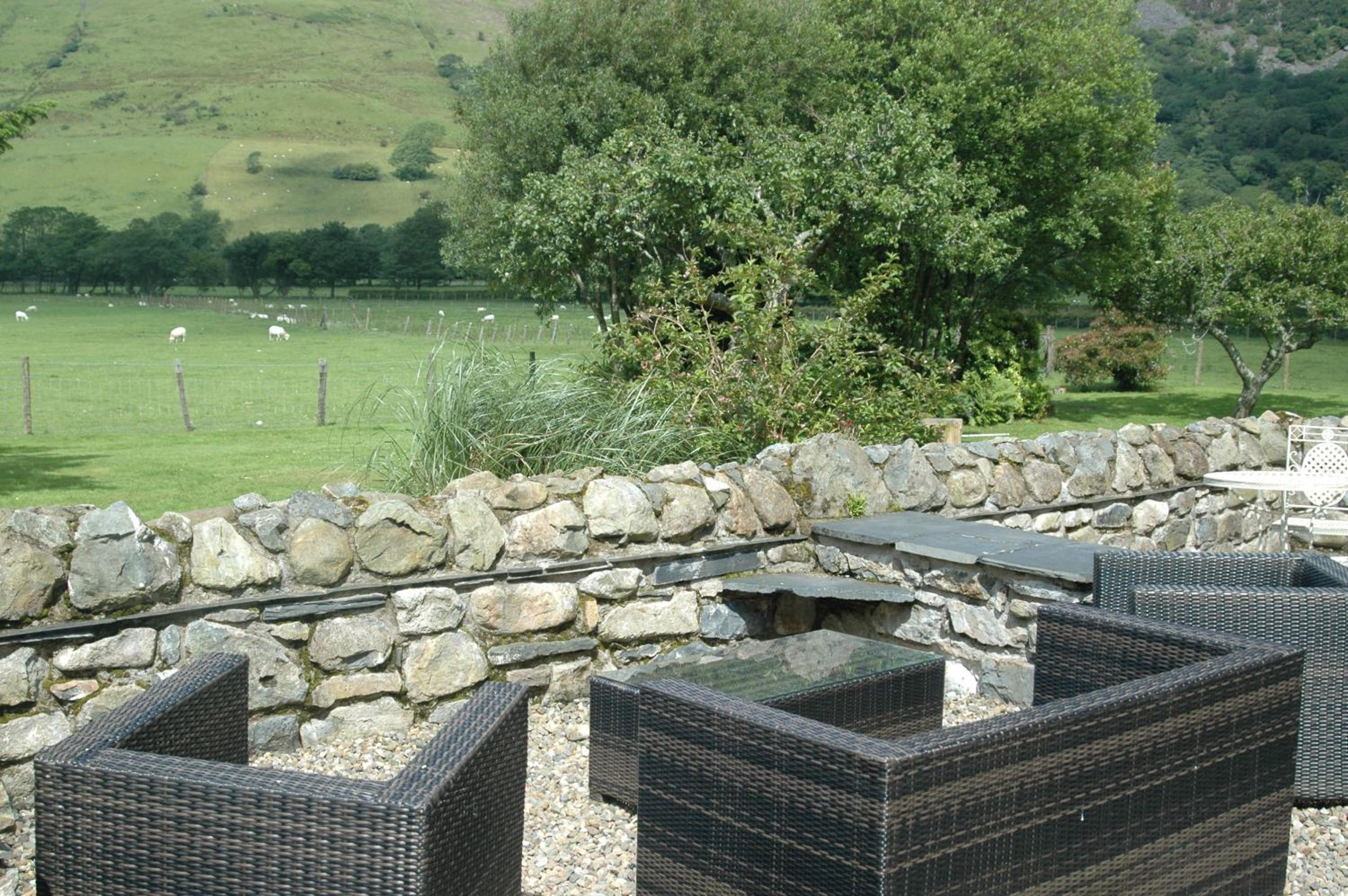 Dolffanog Fawr view 4