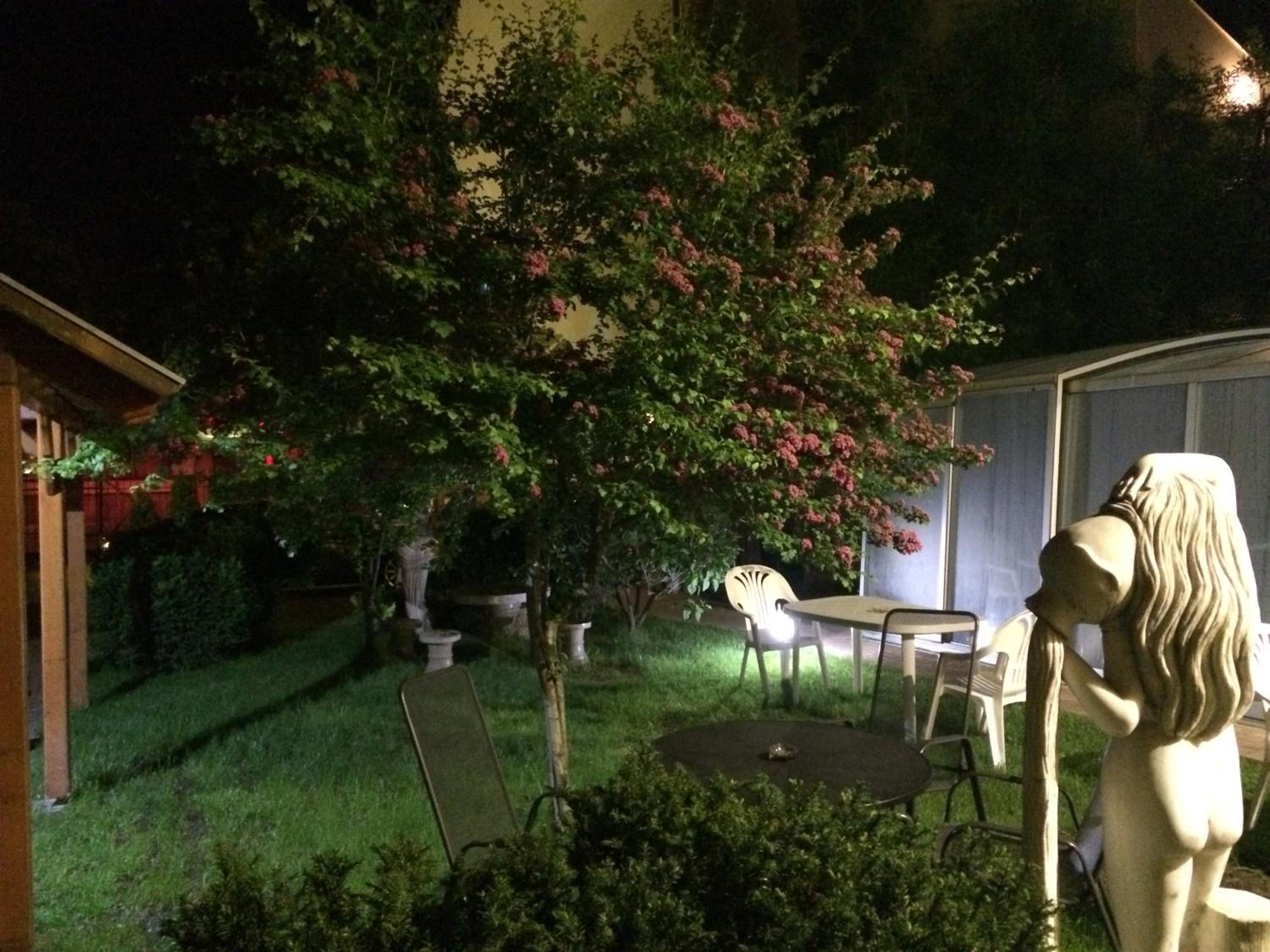Photo 31