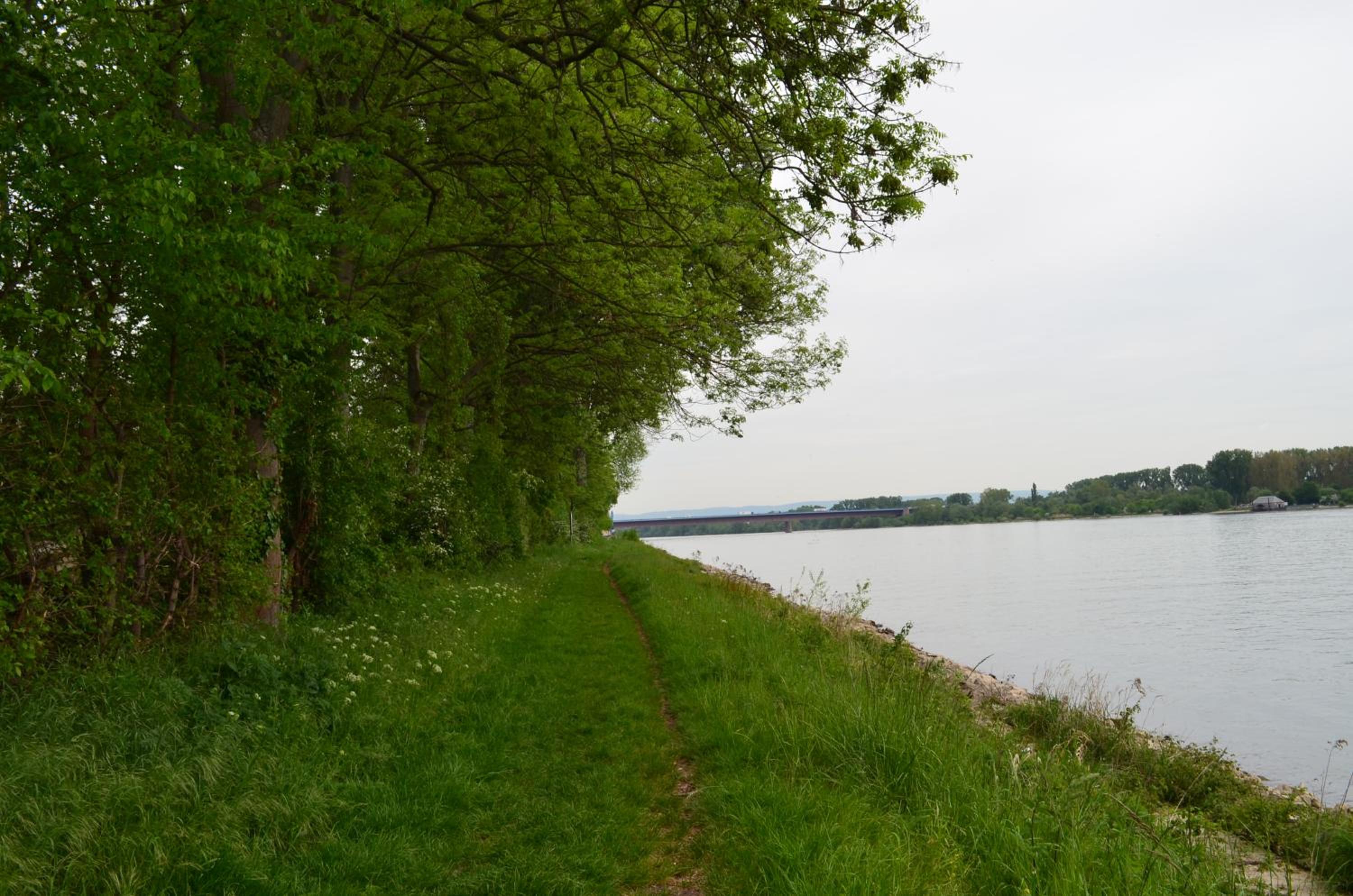 Zwei Raben Pension