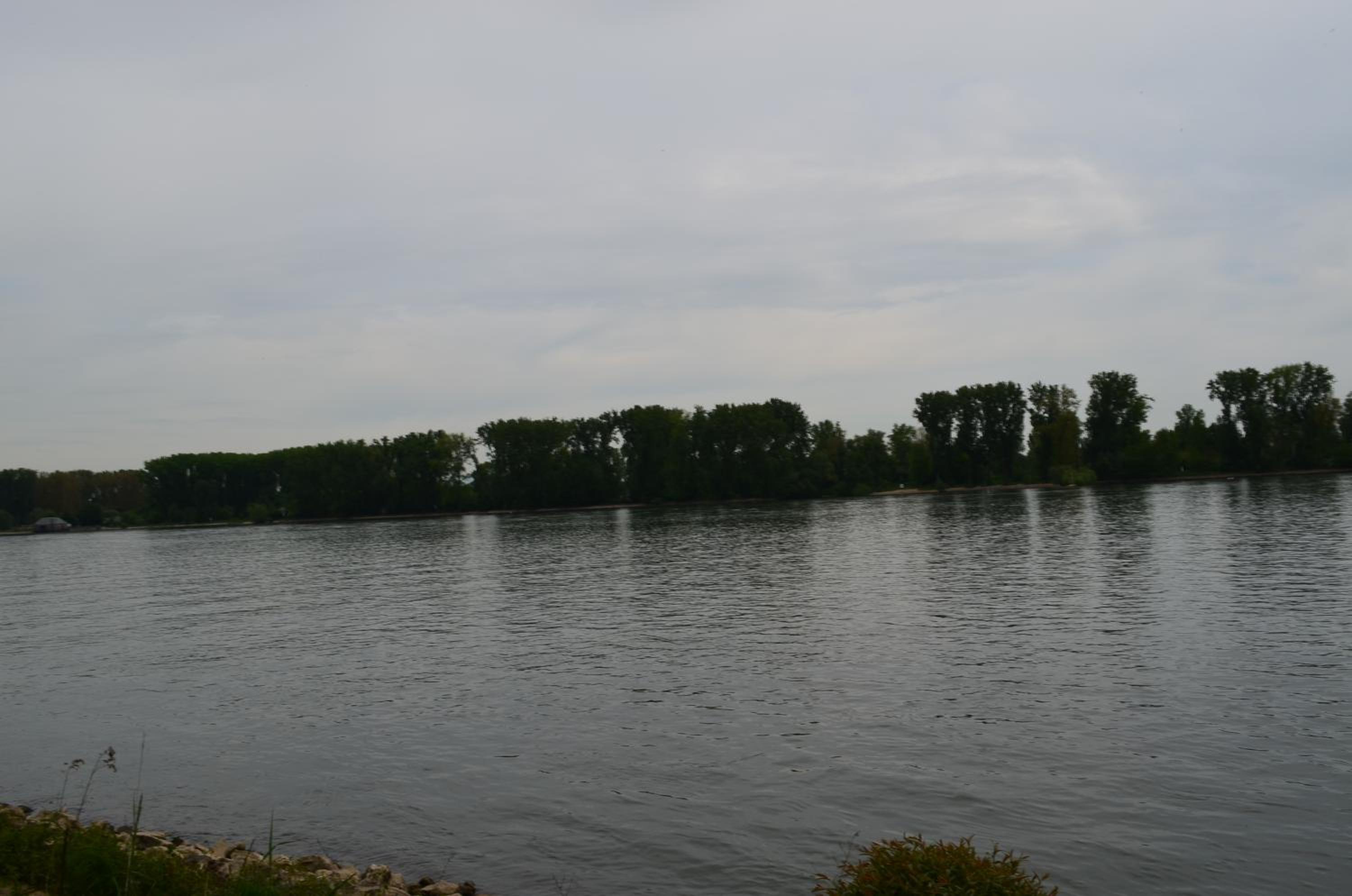 Zwei Raben Pension