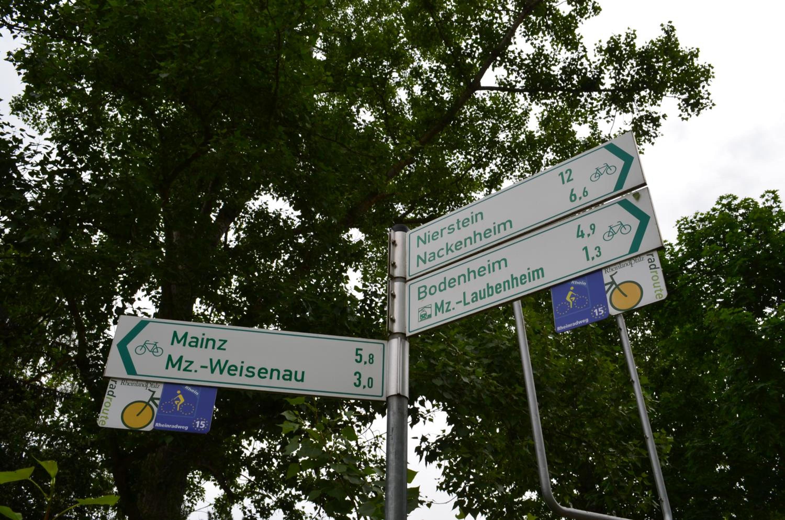Zwei Raben Pension