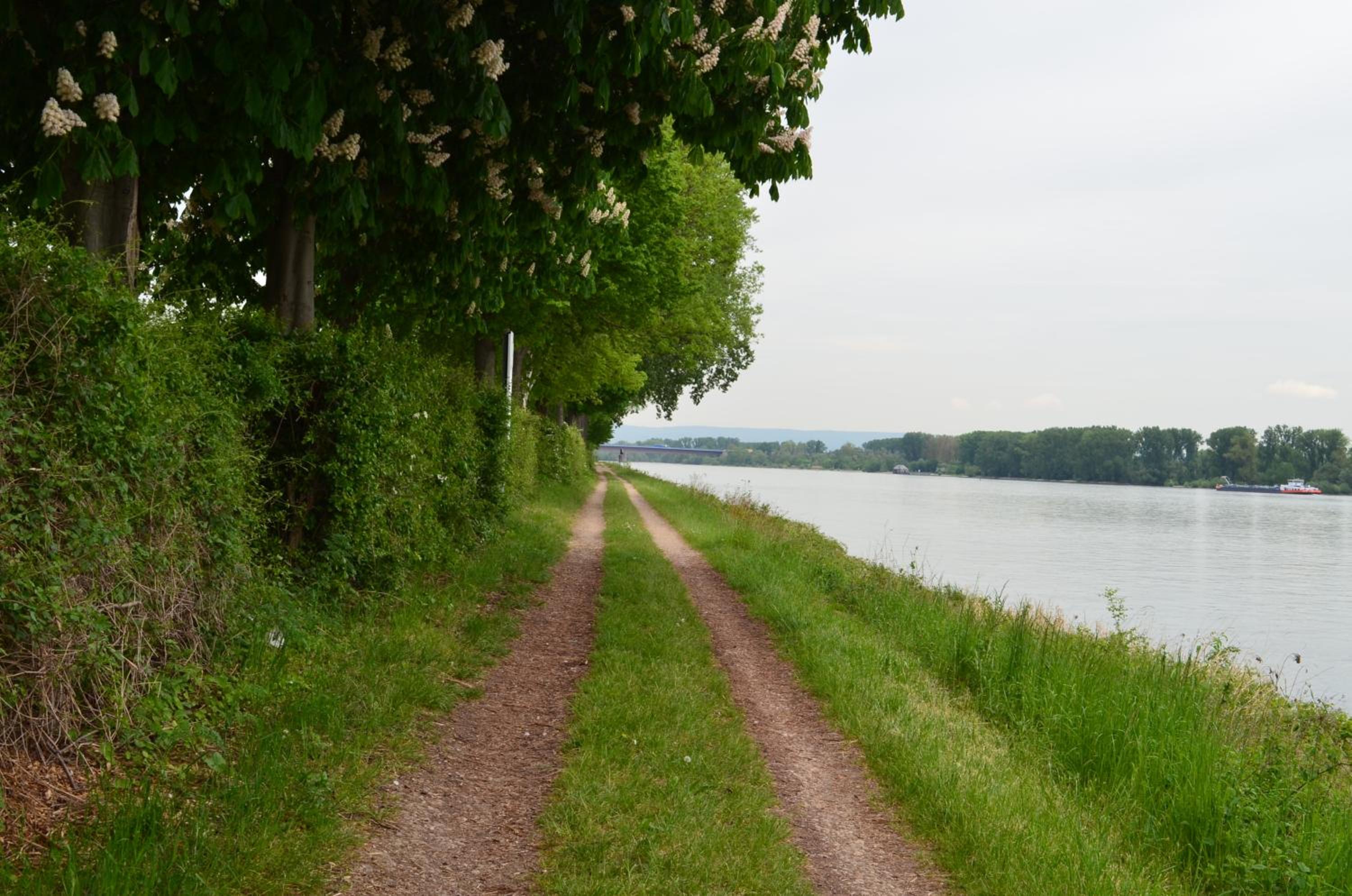 Zwei Raben Pension