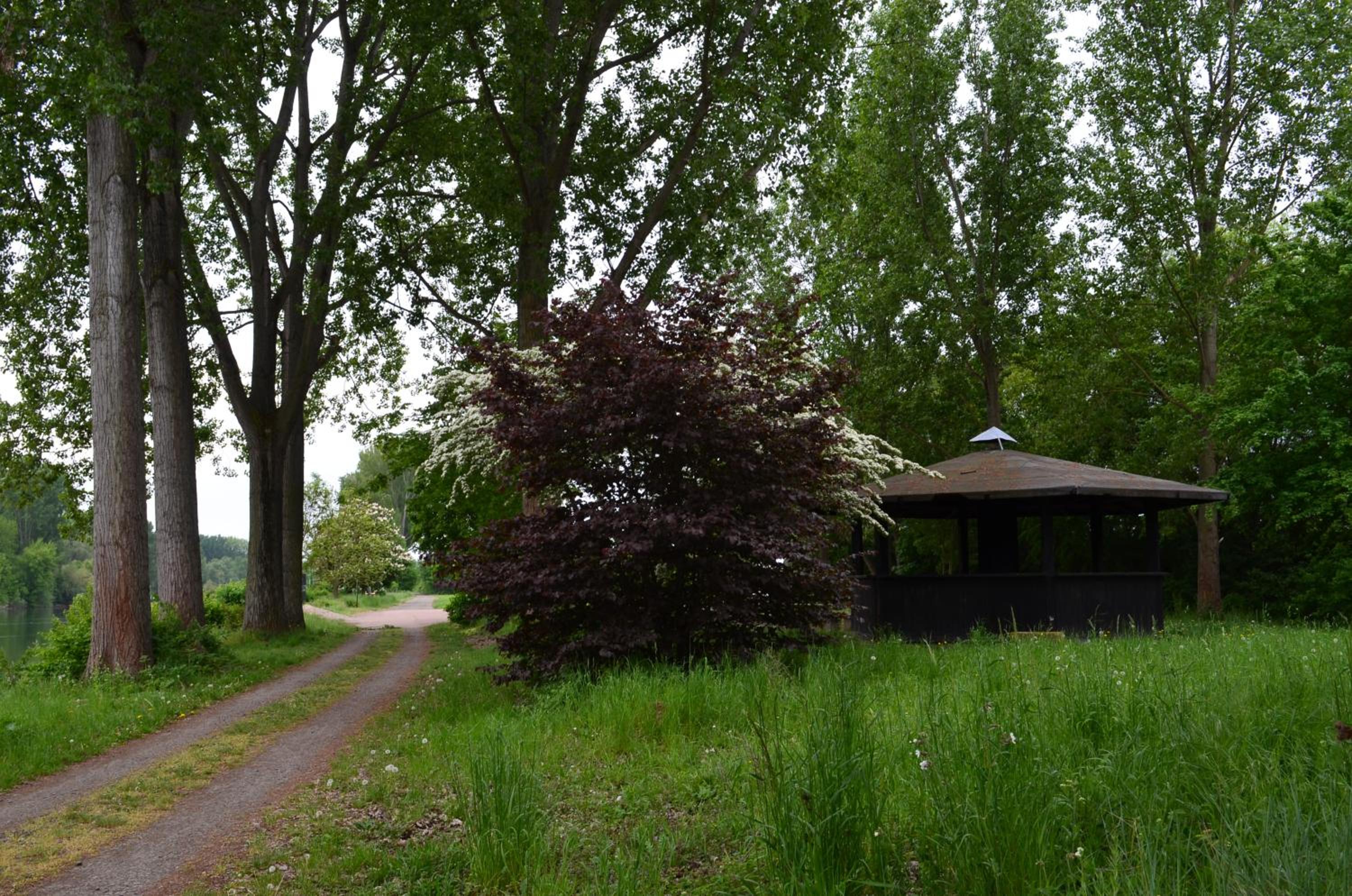Zwei Raben Pension