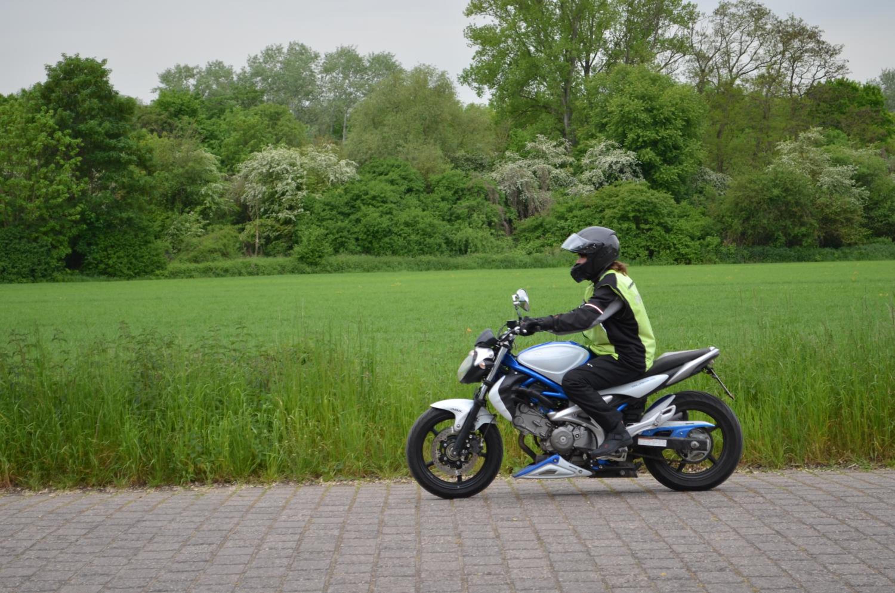 Zwei Raben Pension