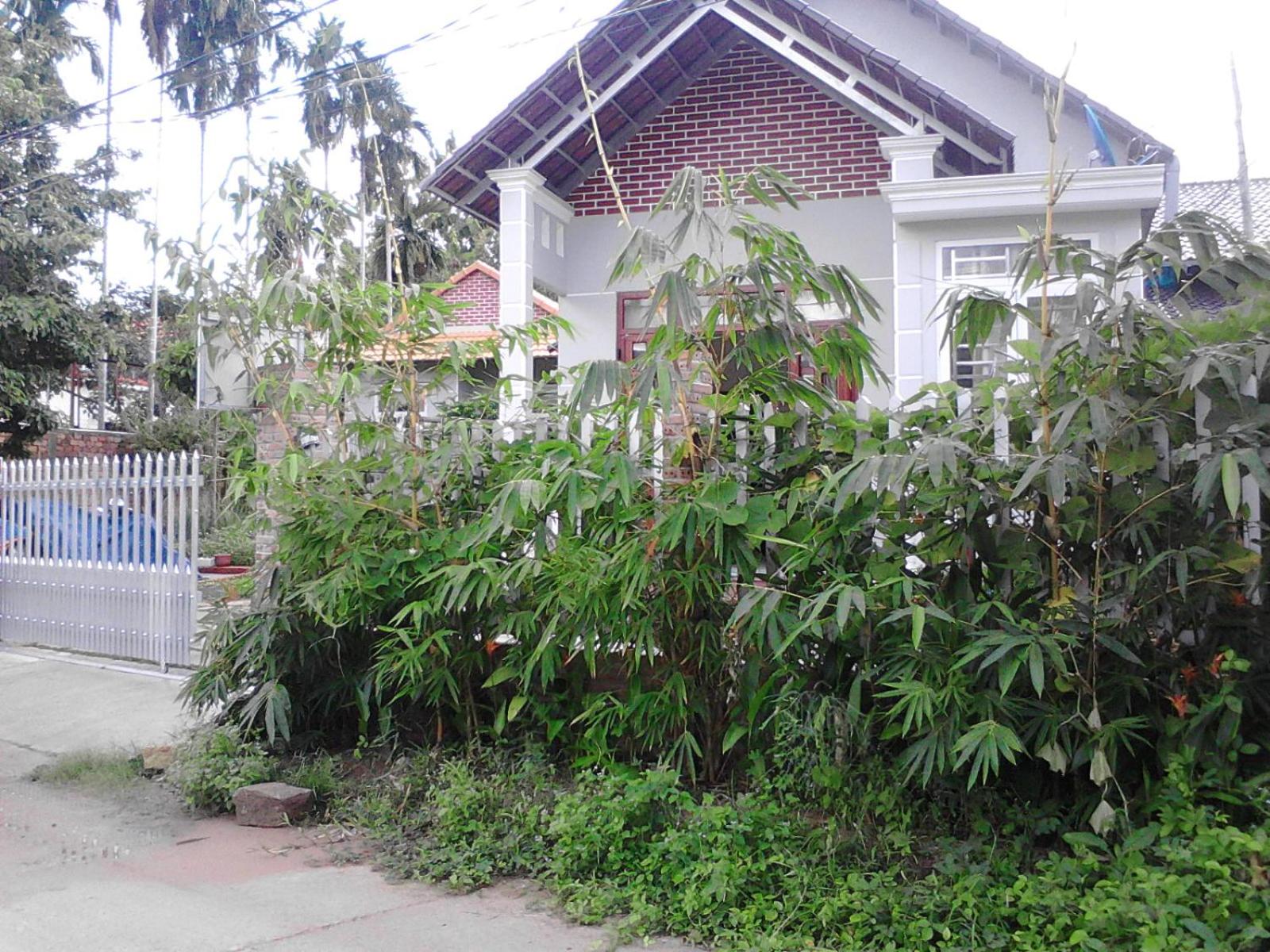 Photo 45