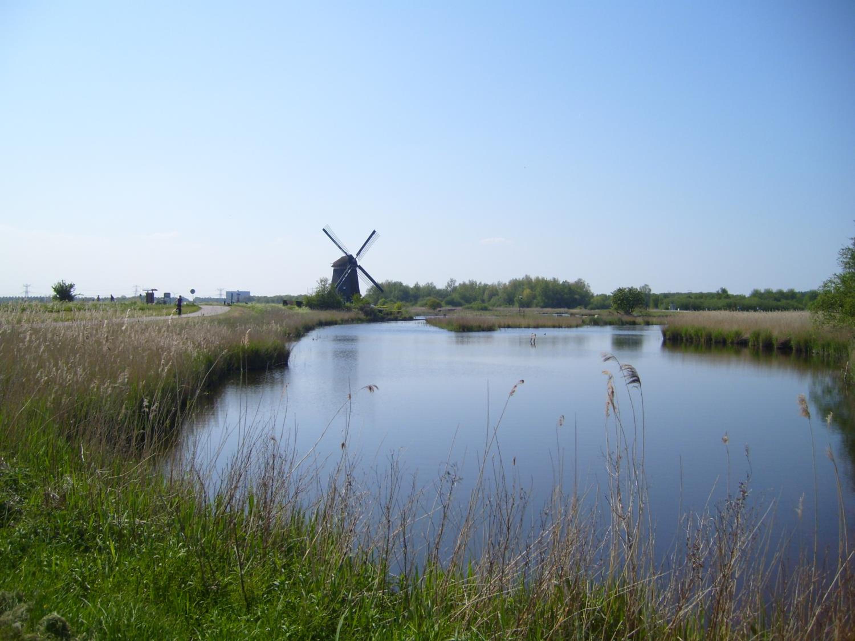 Photo 40