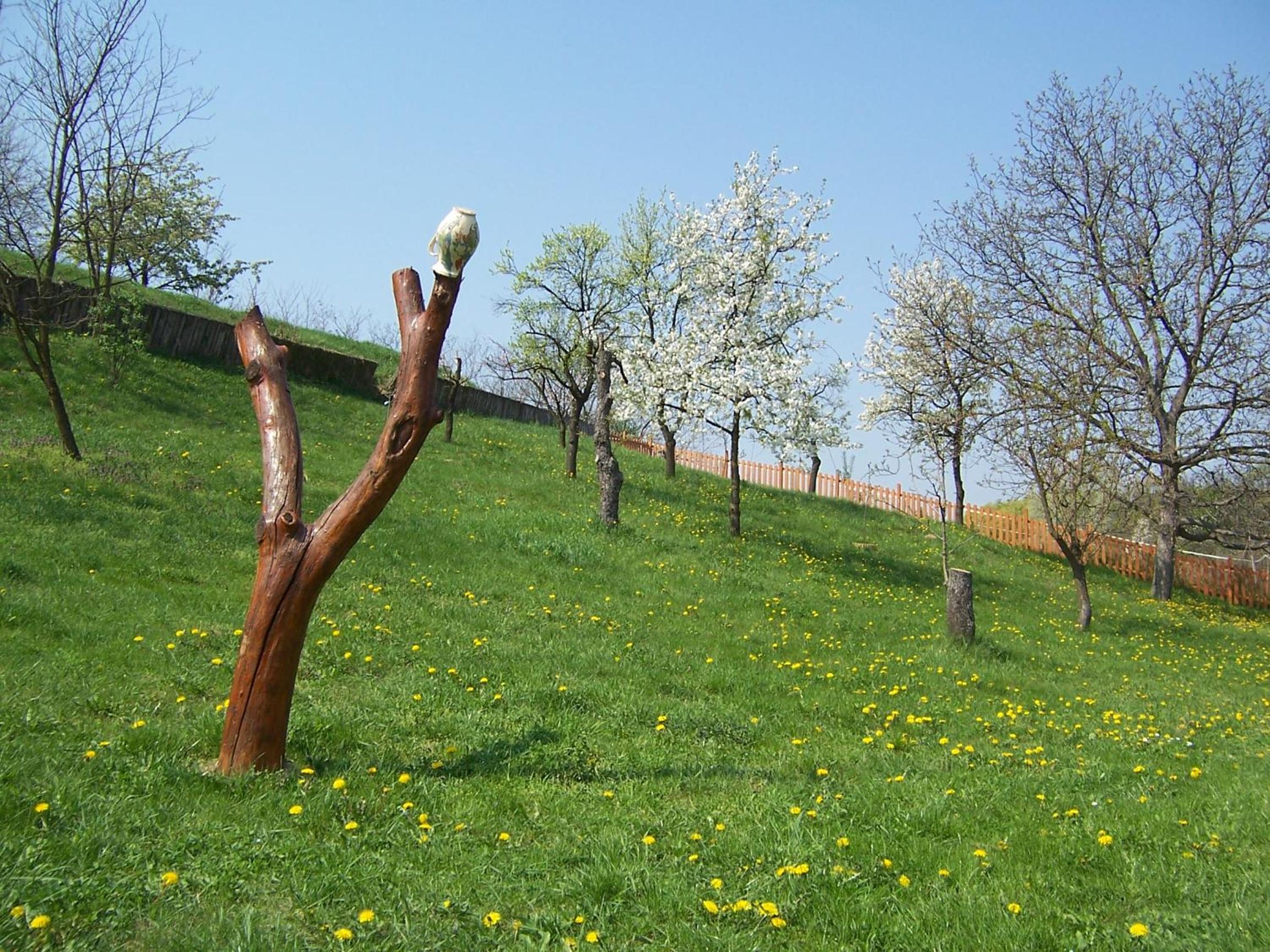 Photo 44