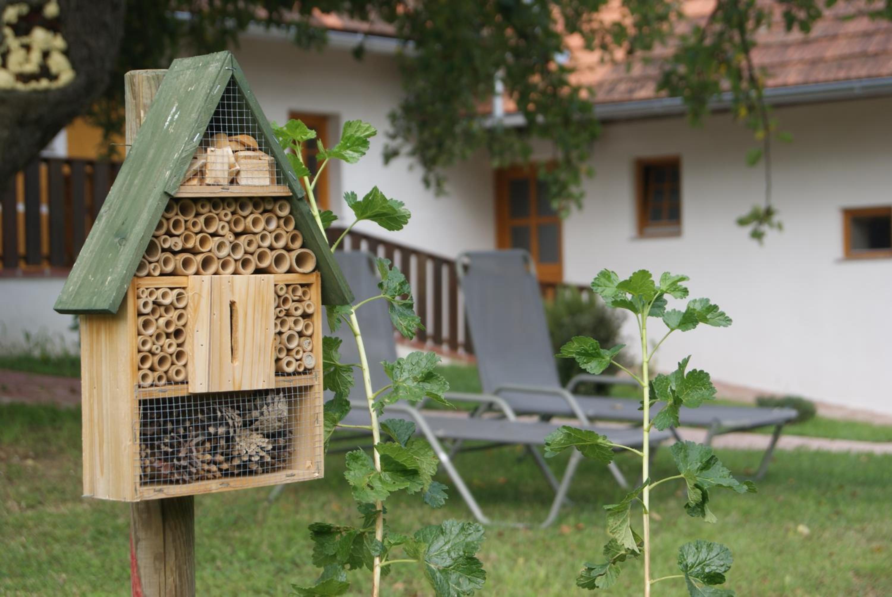 Ferienhaus Bioeck