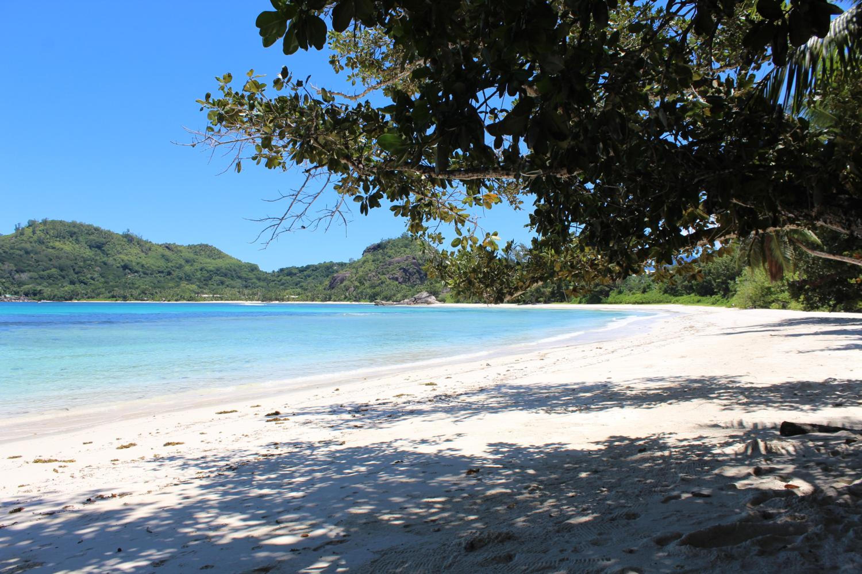 Green Blue Beach House view 5