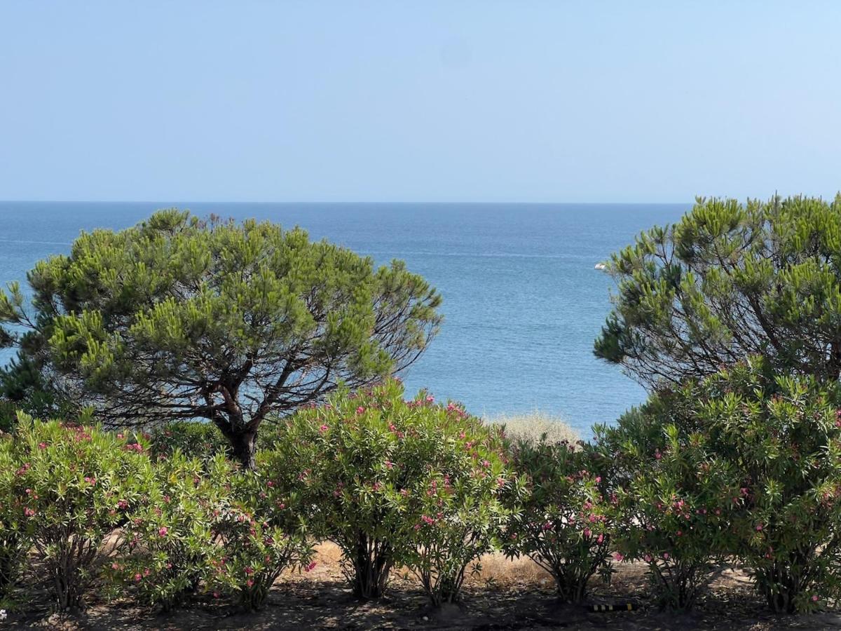 Refúgio vista mar em S Pedro a 1min a pé da praia