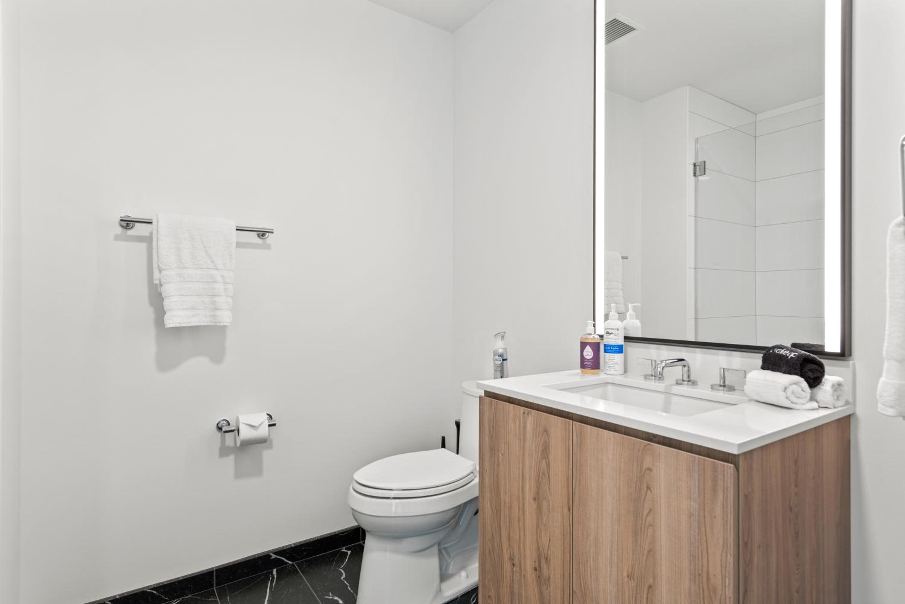 Lux Apts with Lake Views and Top Amenities