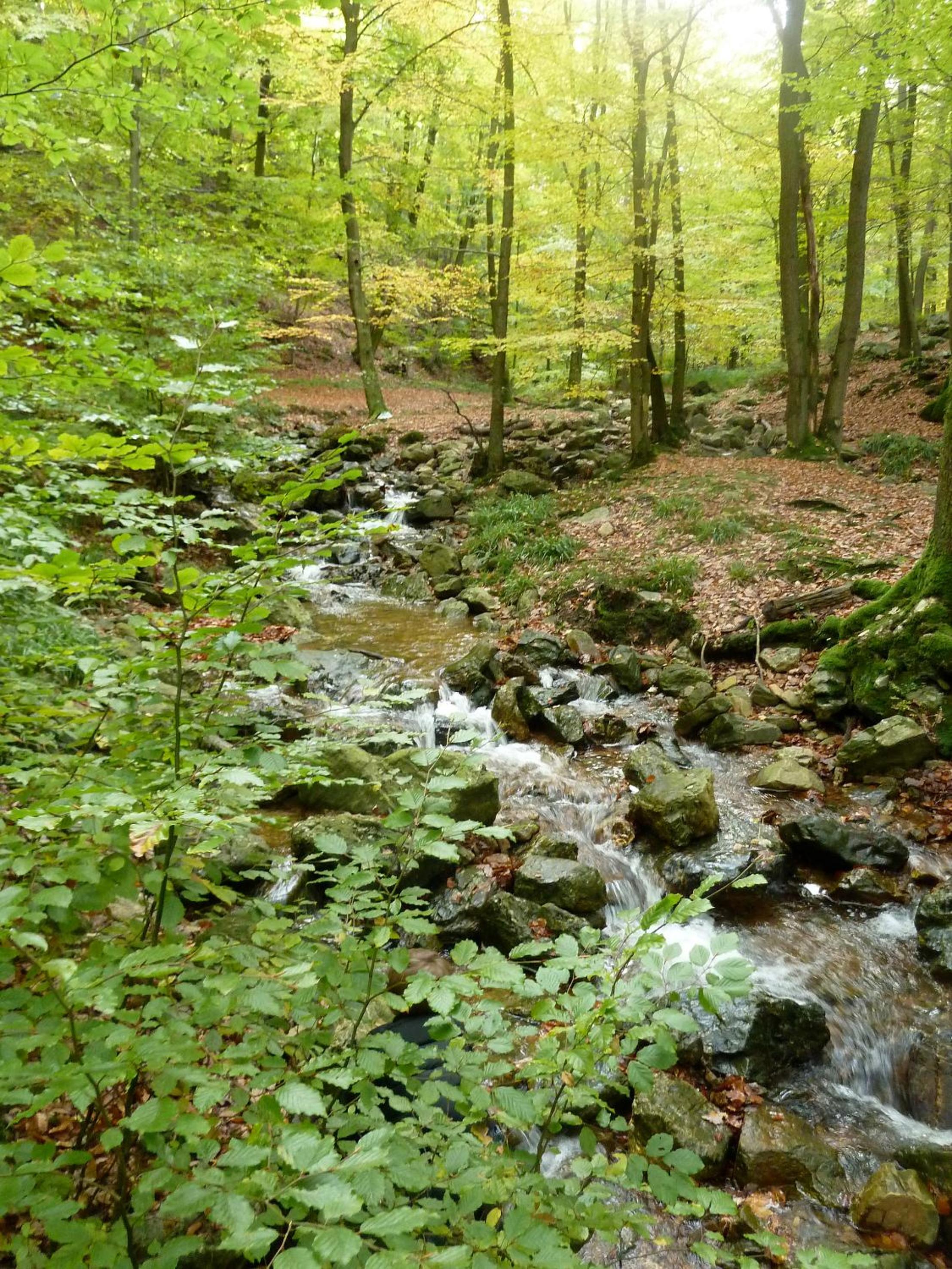 Photo 48