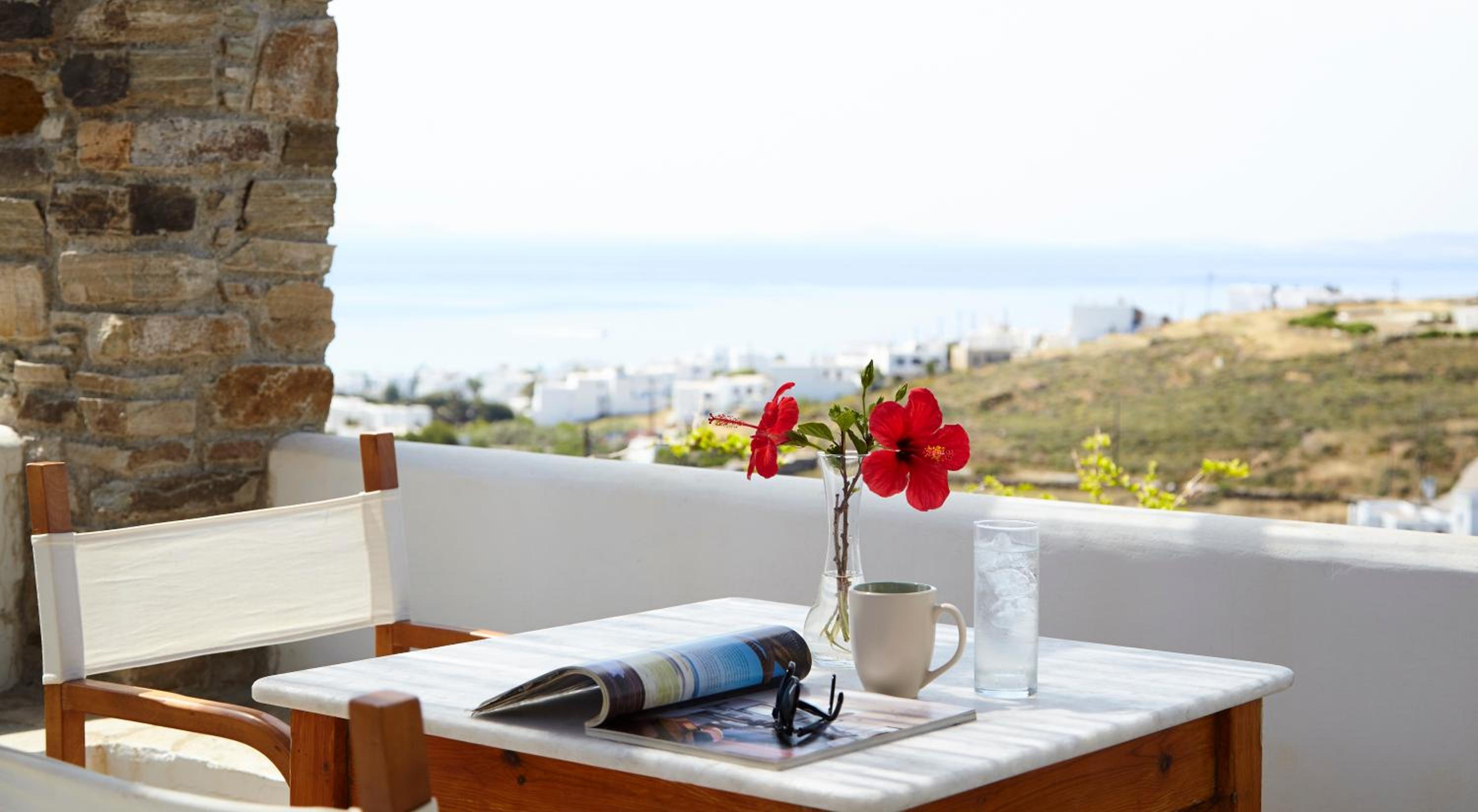Dinora Villa