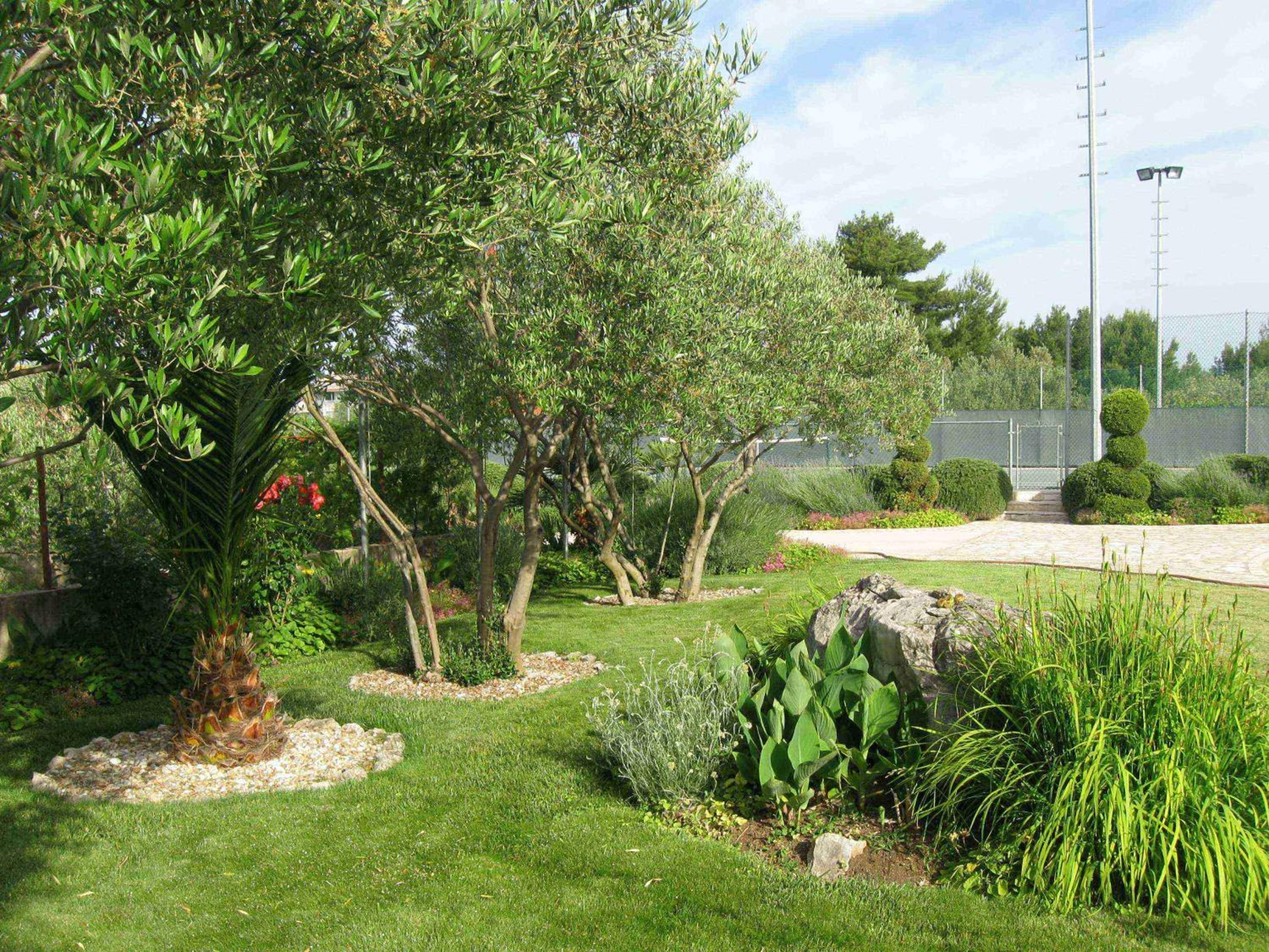 Photo 8