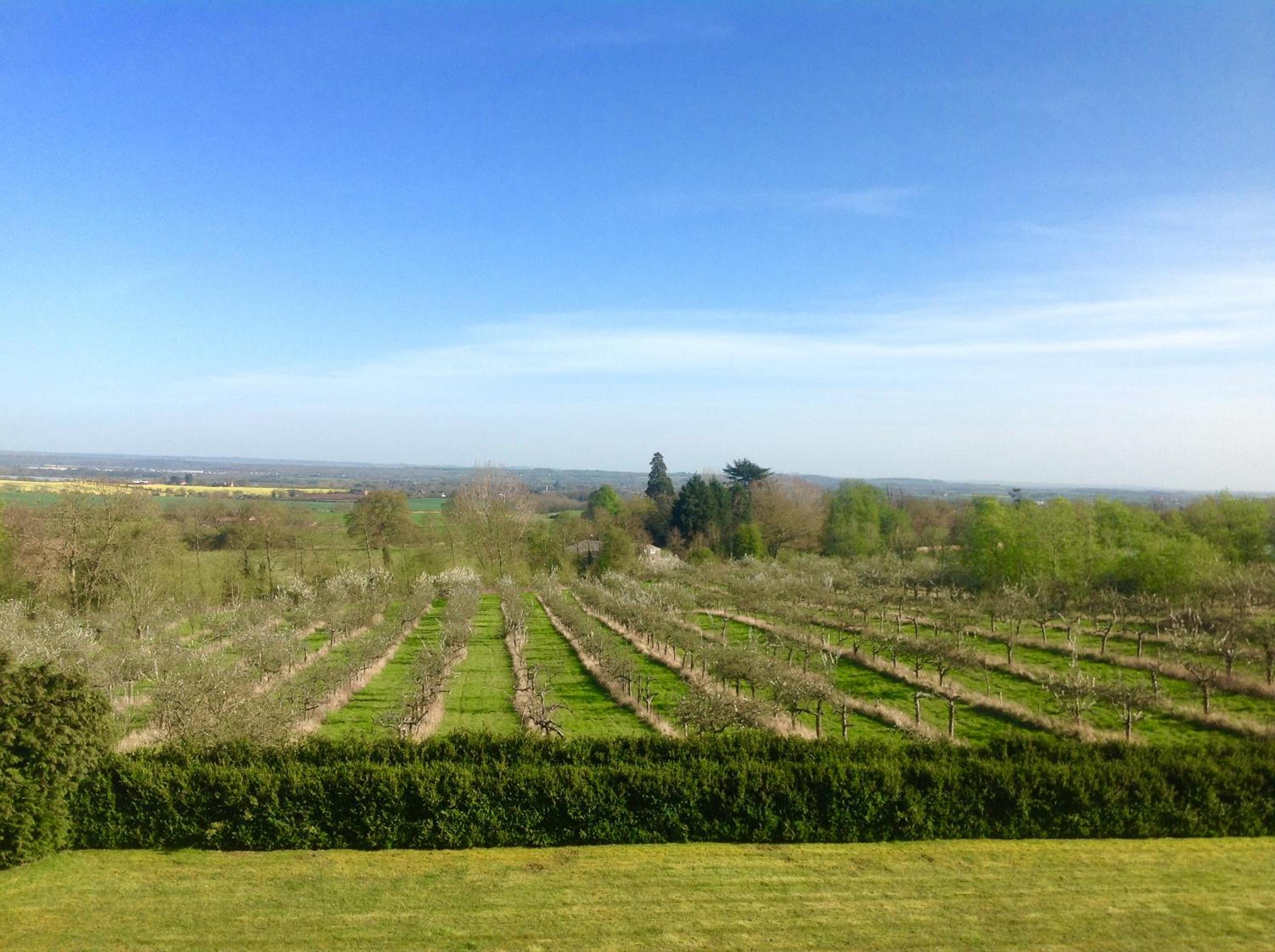 Shakespeare's View