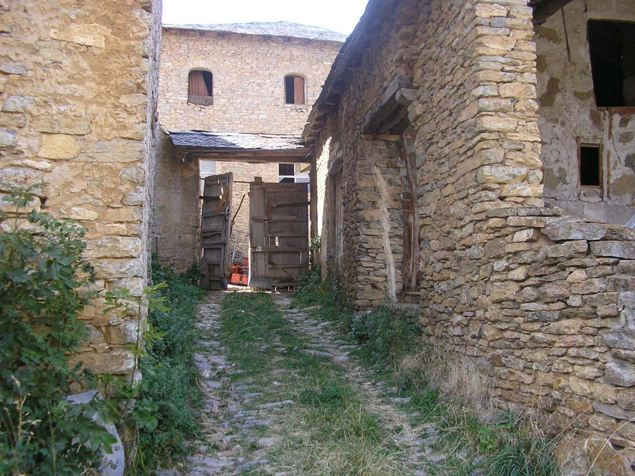 Photo 54